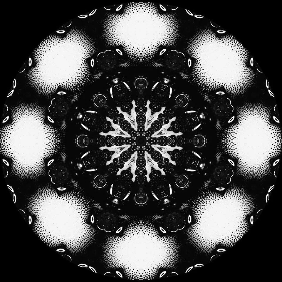  Image: Human Instrument Collective - All rights reserved. 