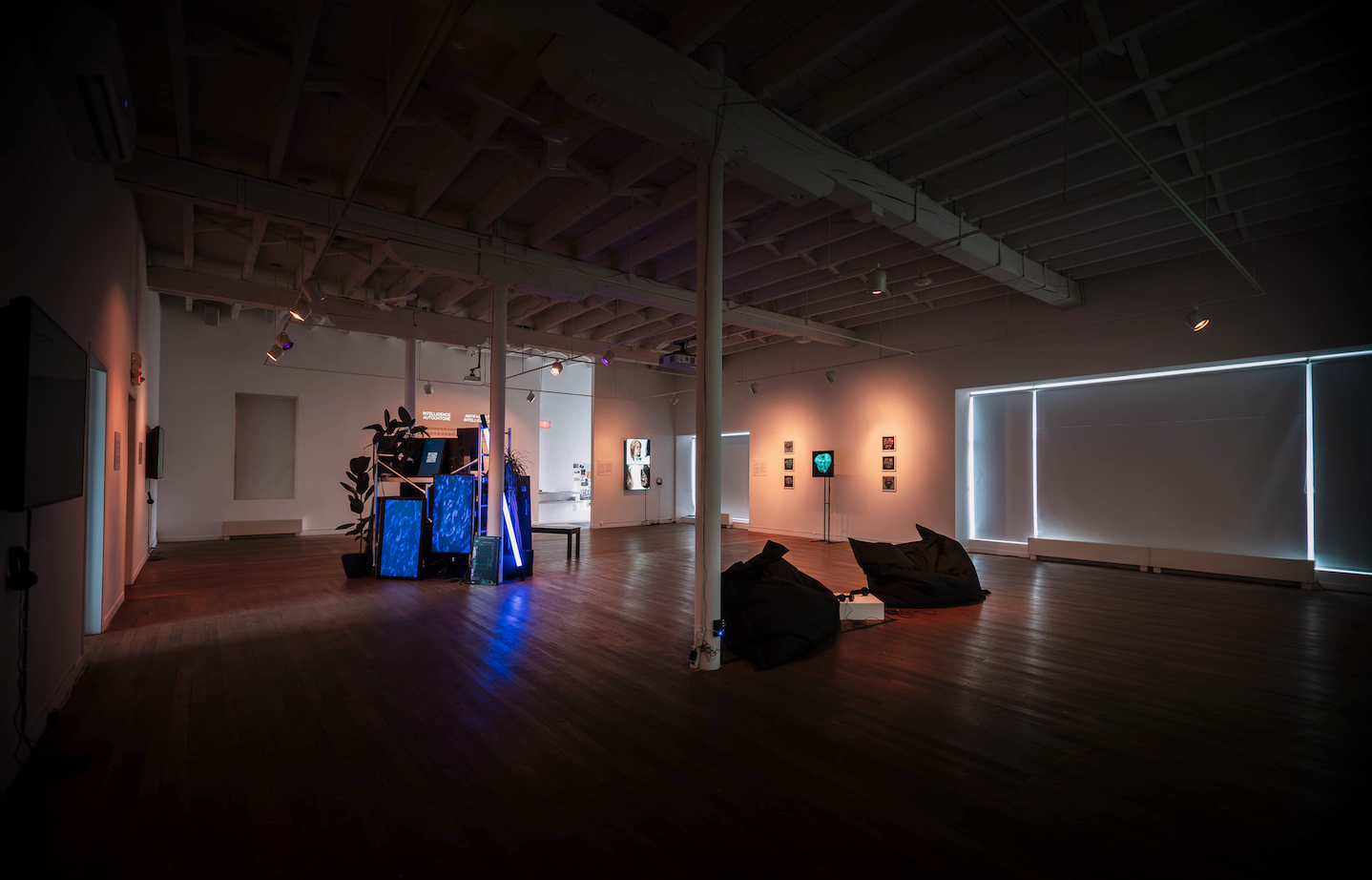 1. Isabella Salas_Indigenous Futurologies_Sporobole I###### A######.png