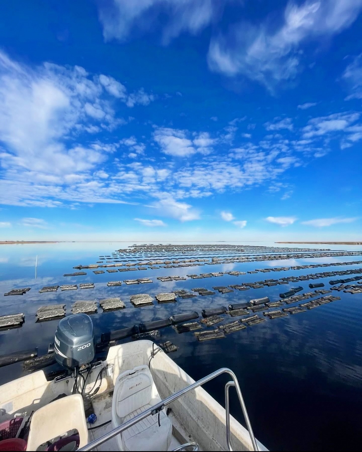Views from the @morrisfamilyshellfish farm in Sealevel, North Carolina. 😍 And yes, our restaurant is an homage to the town of the same name! #sealevelnc #seafoodspot #oysterbar

📸: @rjhthe_3rd