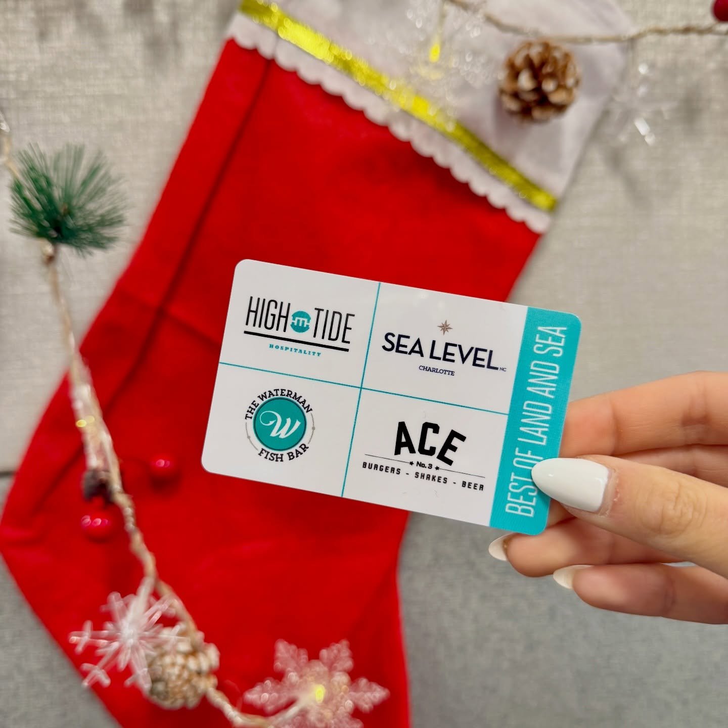 Make it a High Tide Holiday! 🎄

Stuff their stockings with the gift that always delivers&mdash;High Tide Hospitality gift cards, good at any of our concepts.

Craving burgers? Head to Ace No. 3.
Feeling oysters and coastal vibes? You&rsquo;ve got Se