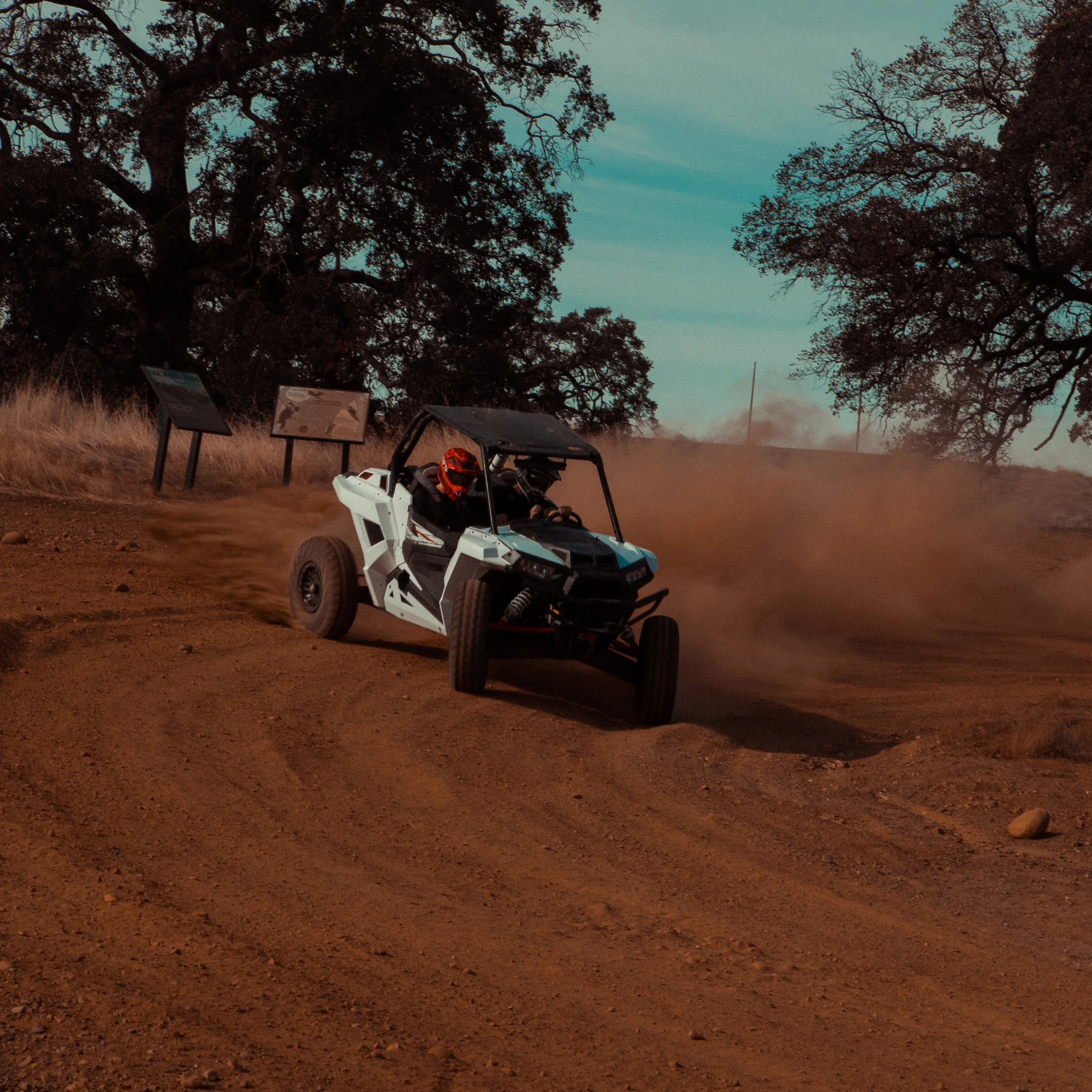 rzr 10.jpg