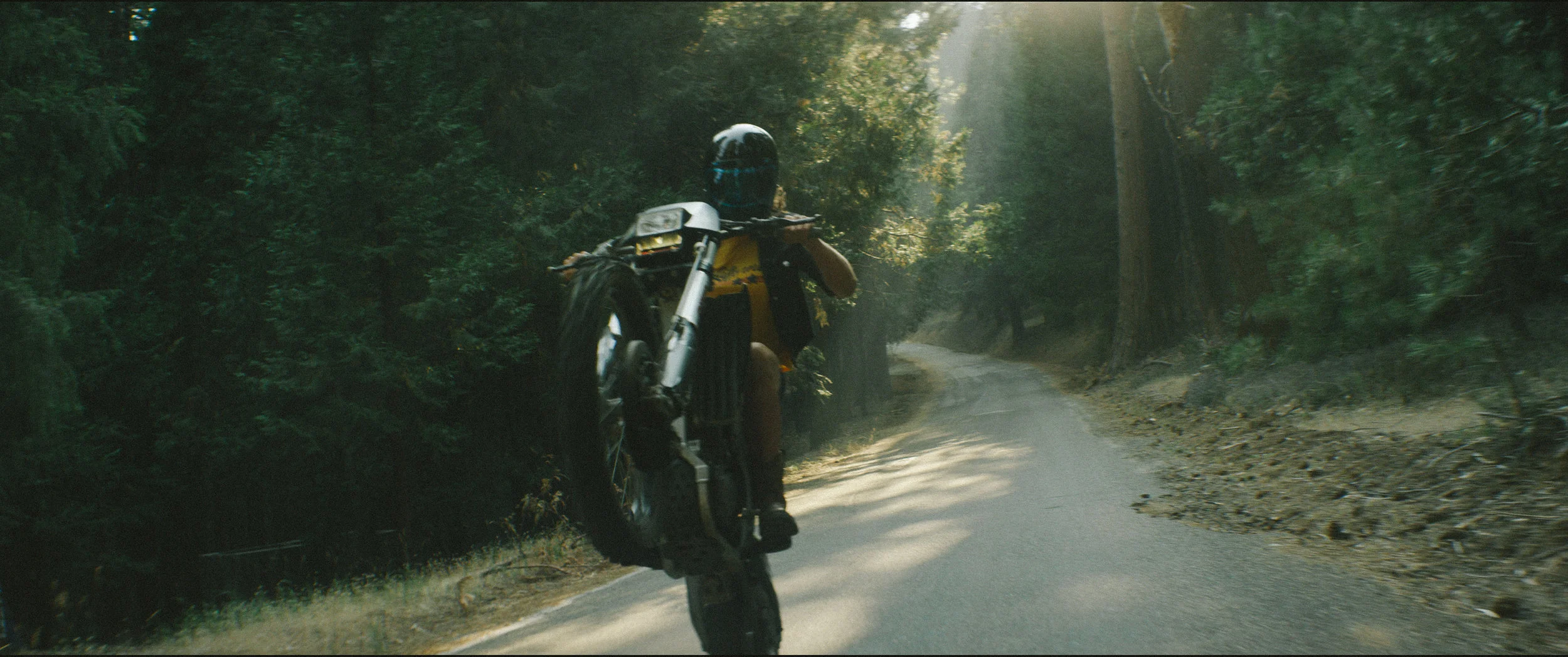 wheelie 2 (1 of 1).jpg