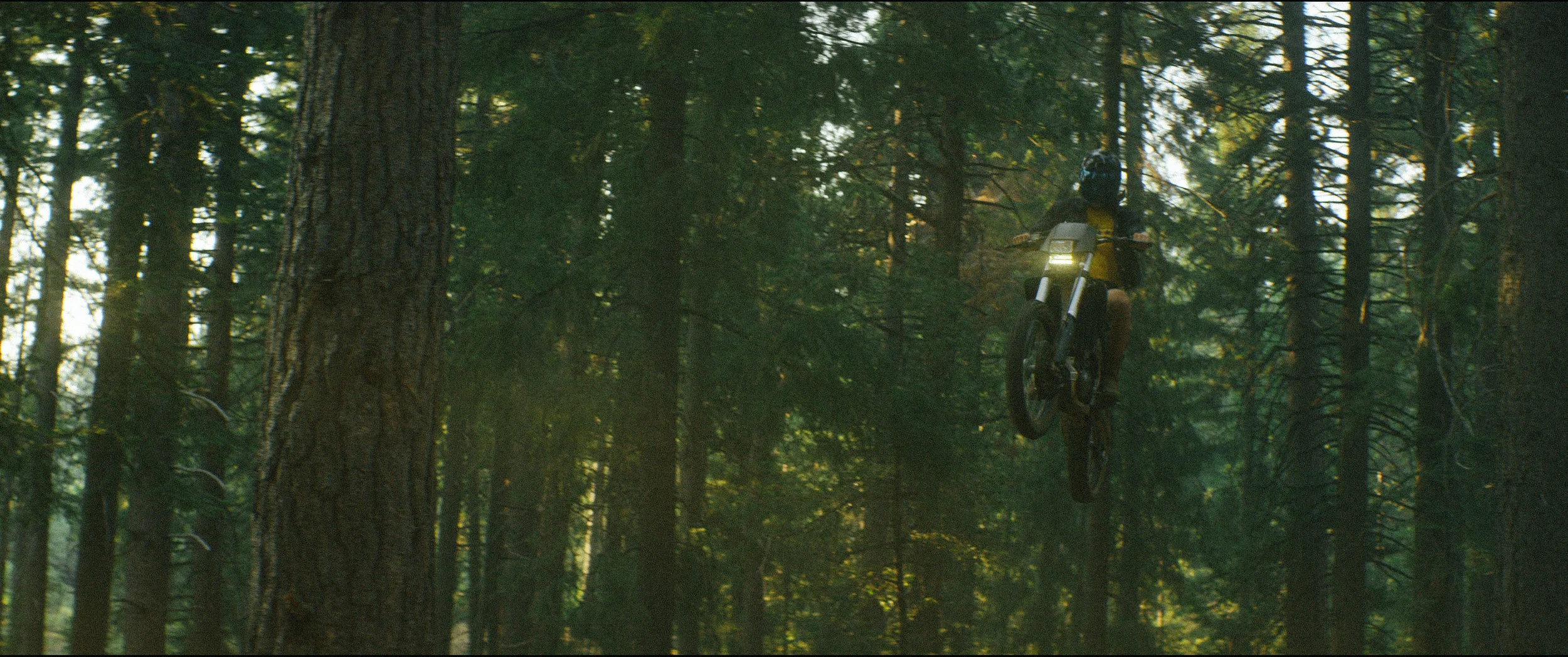 wheelie 3 (1 of 1).jpg