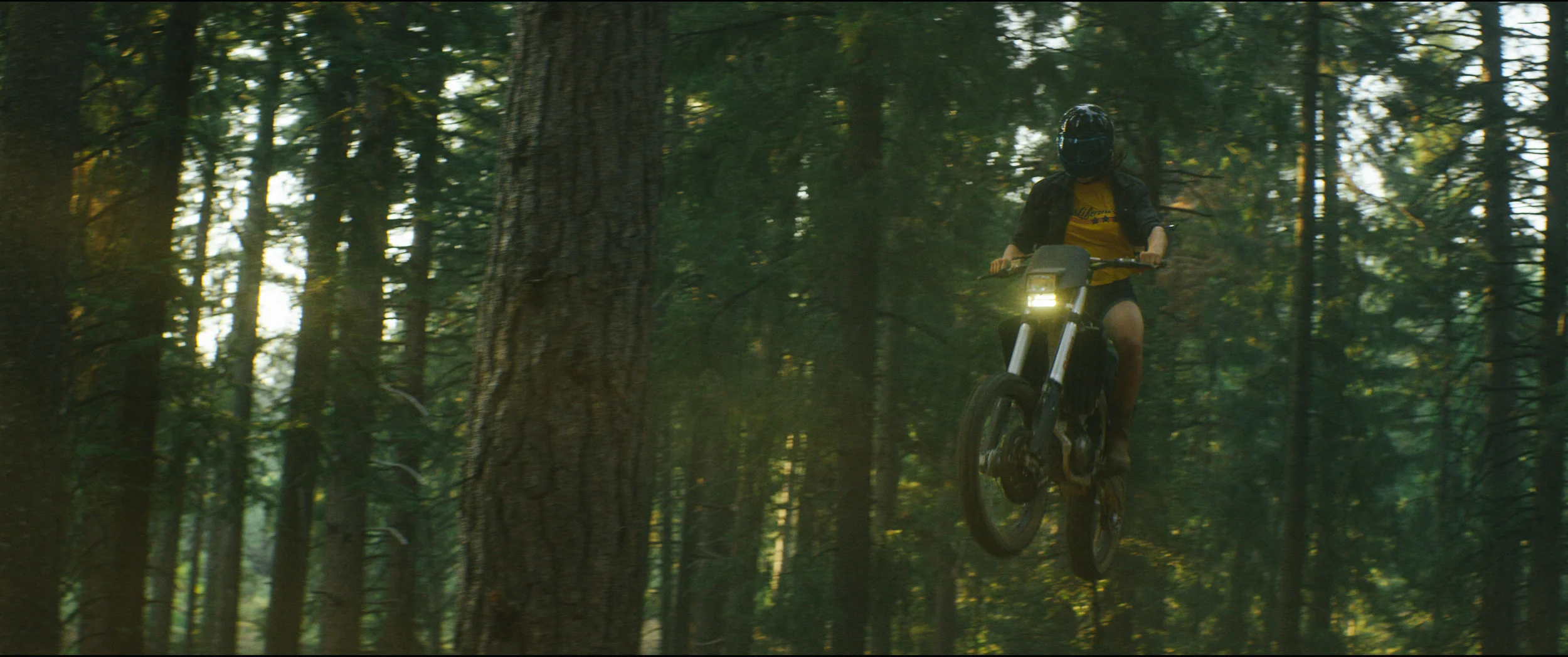 wheelie 4 (1 of 1).jpg