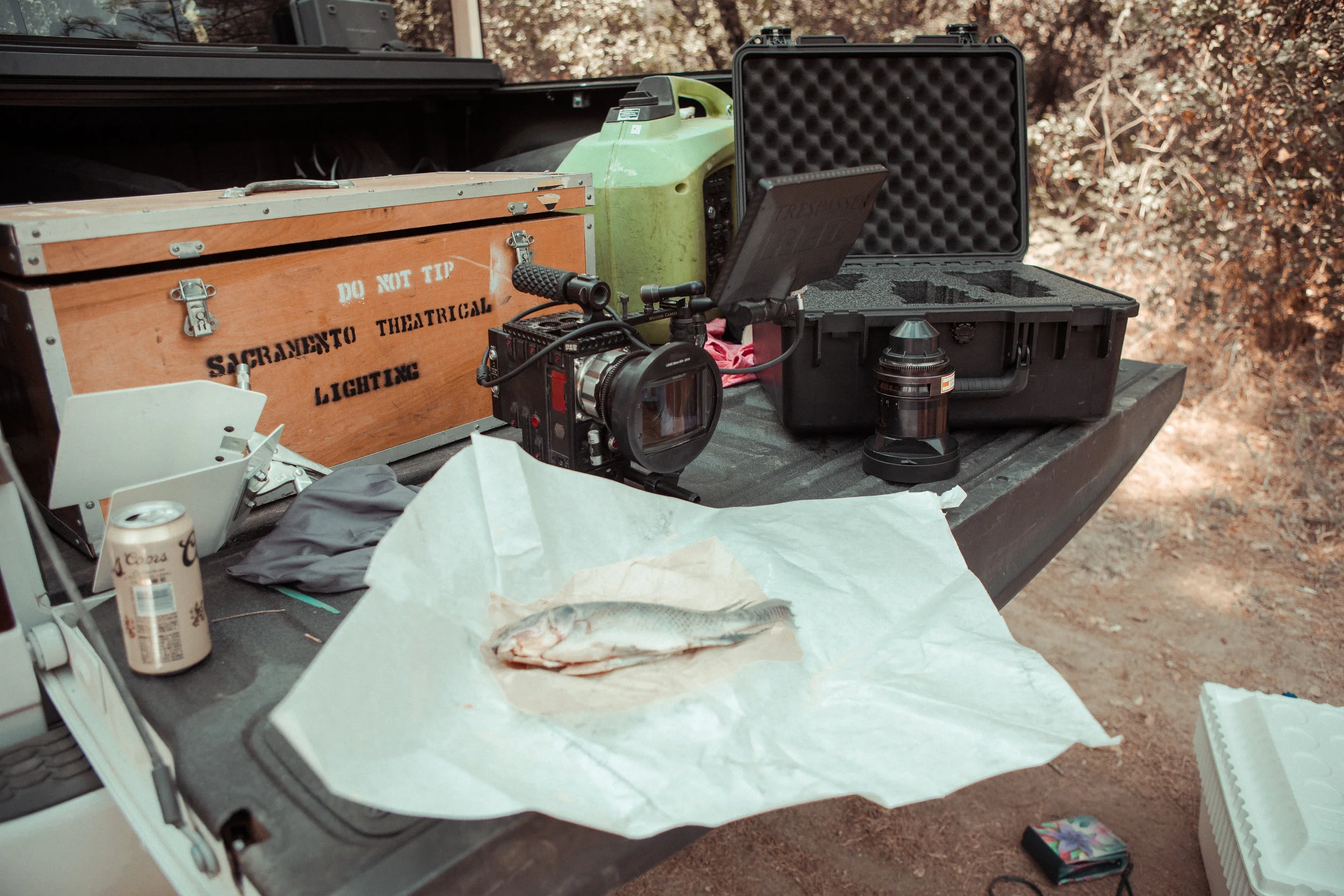 anamorphics and fish (1 of 1).jpg