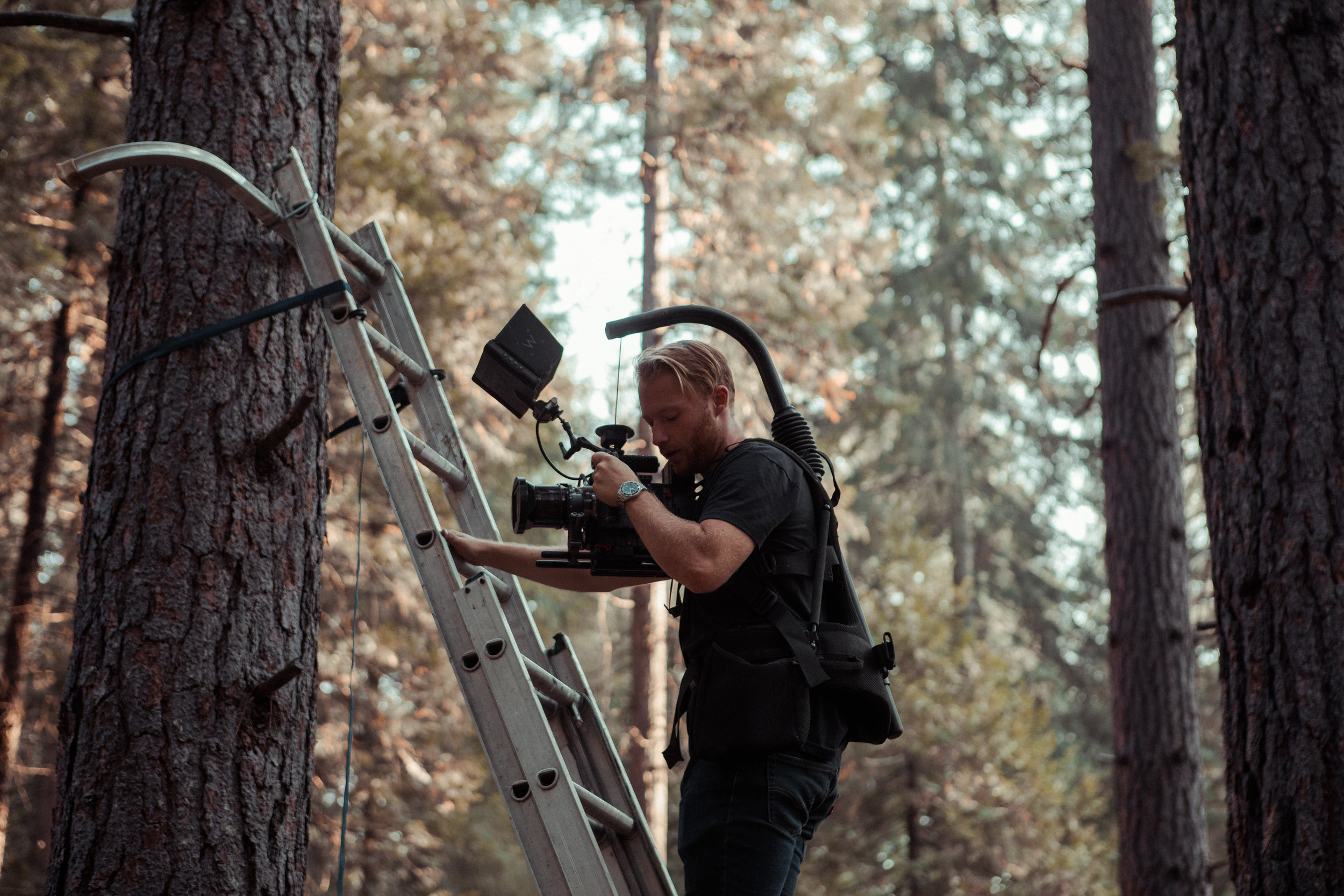 spencer davies in the trees (1 of 1).jpg