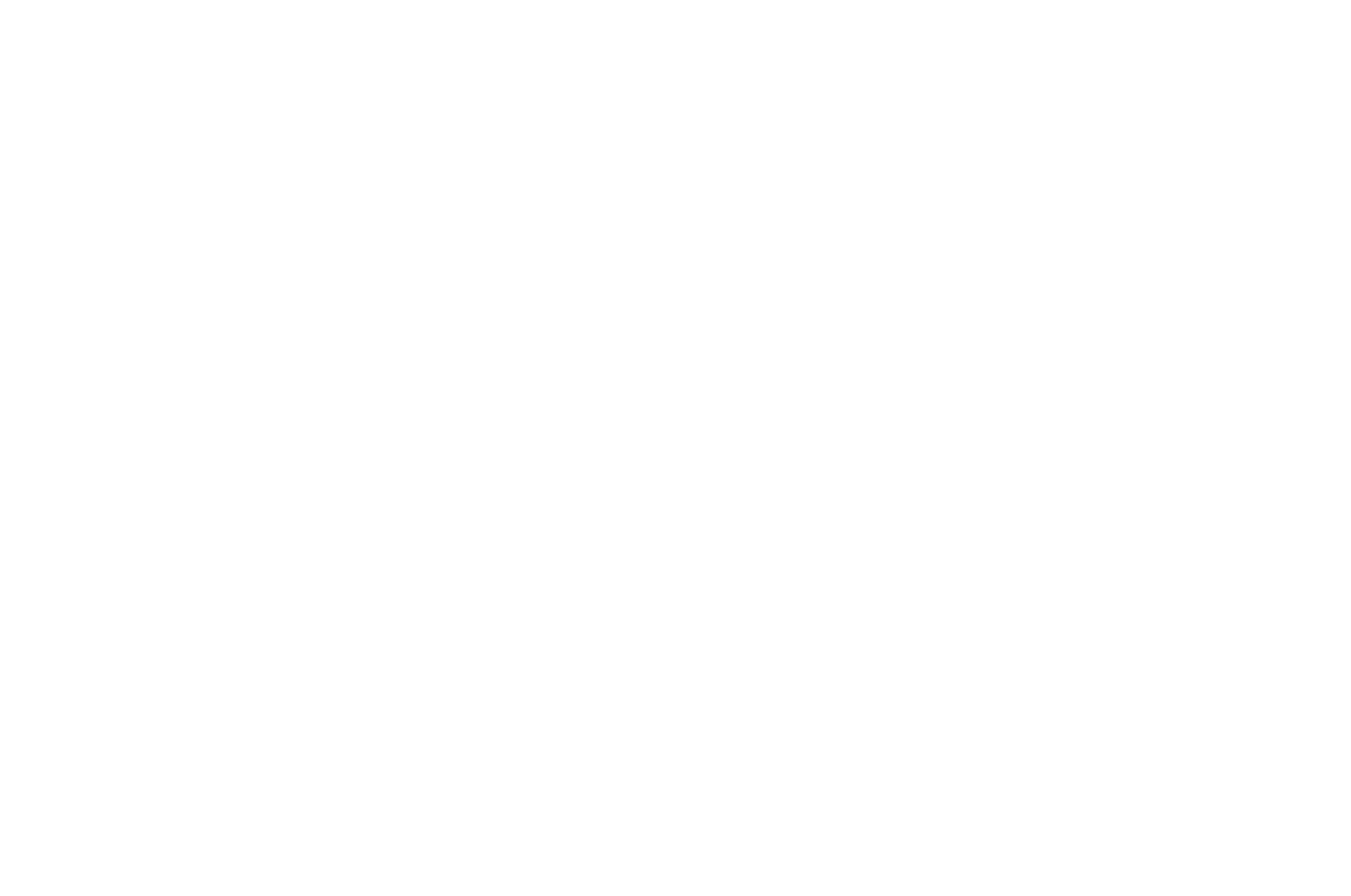 GOLD REMI WINNER - WorldFest-Houston International Film - 2019.png