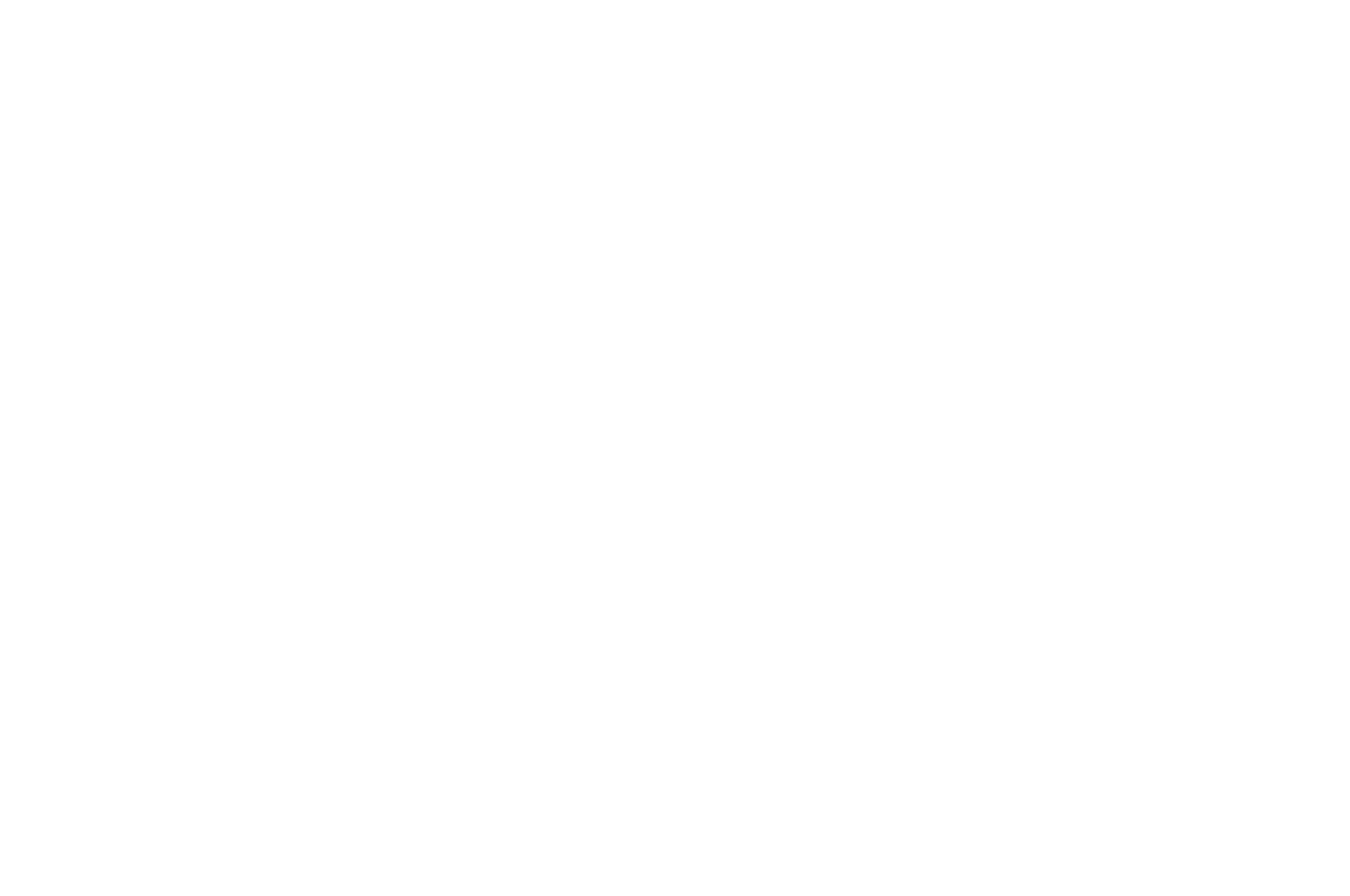 OFFICIAL SELECTION - LA Music Video Awards - 2019.png