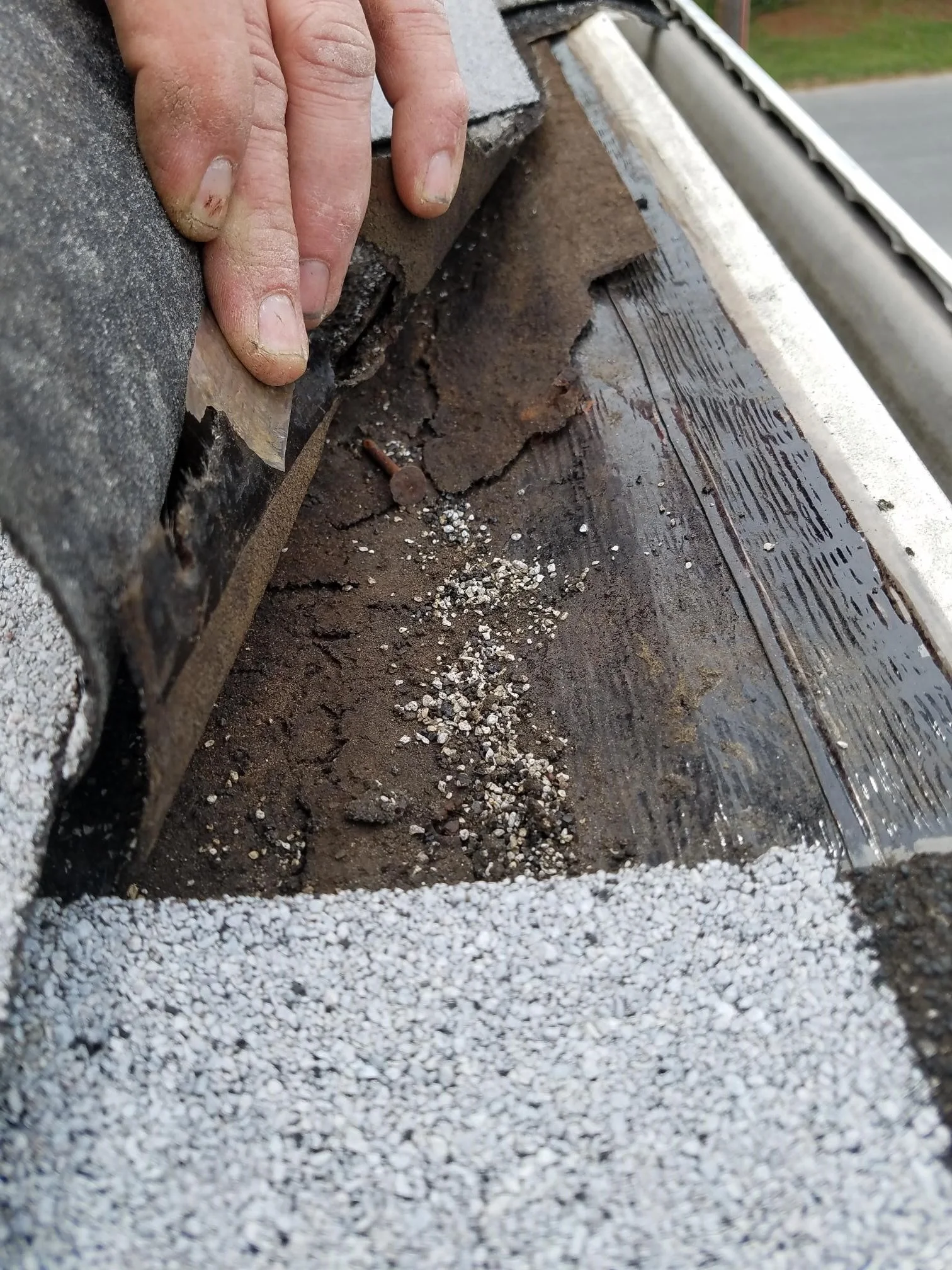 Wood Rot On Eve