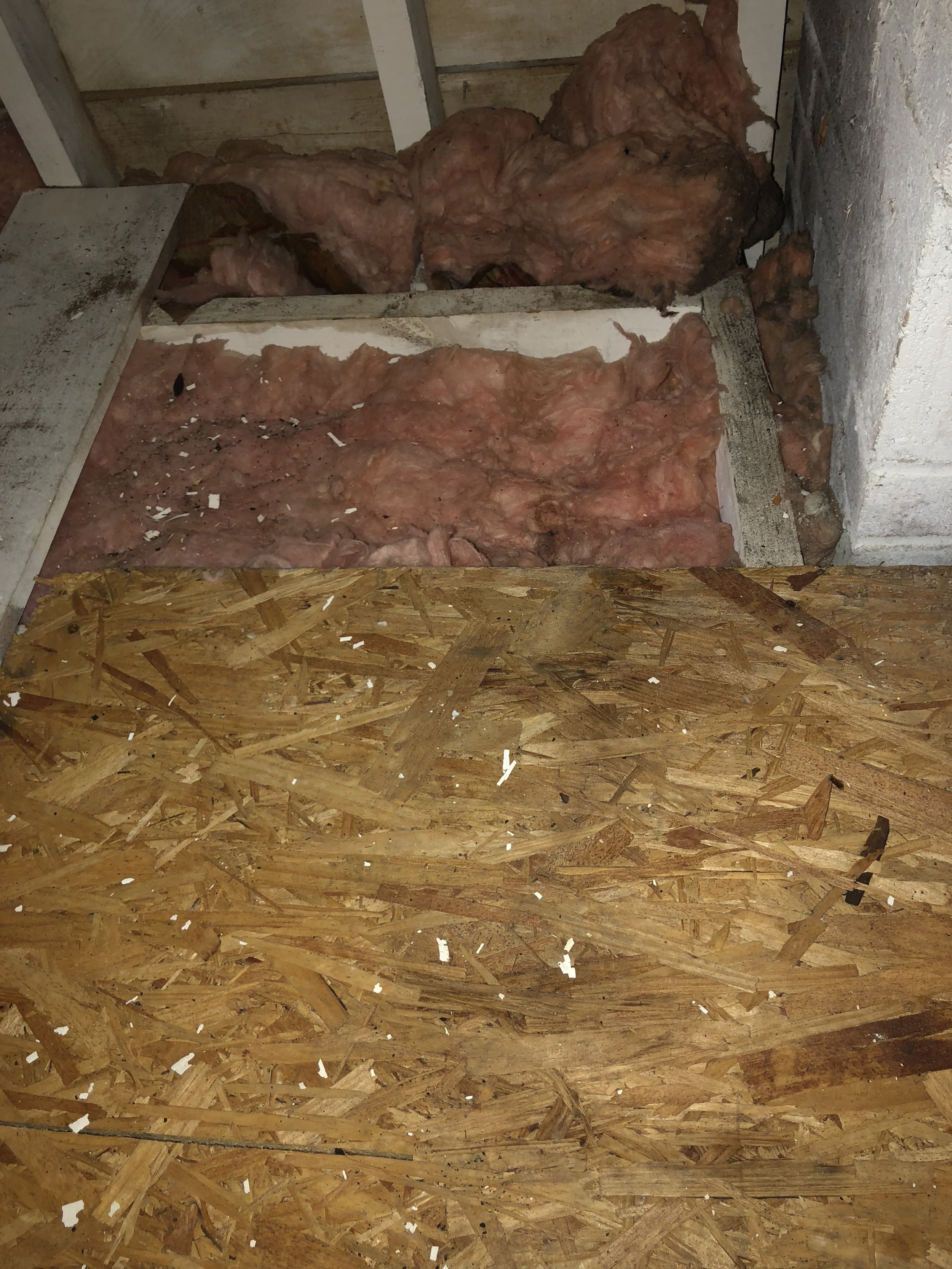  Wet Attic Insulation/Perfect For Mold 