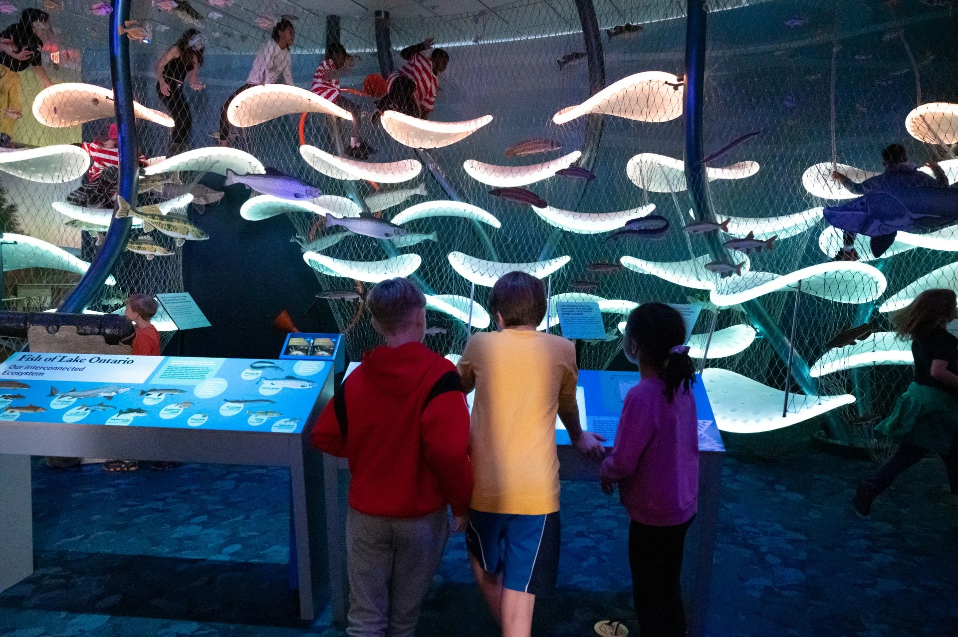 ROCHESTER MUSEUM AND SCIENCE CENTER