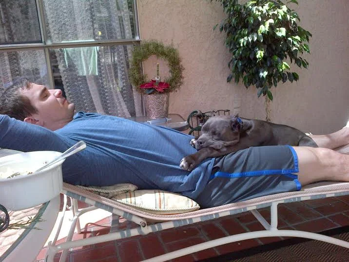 happy-dog-after-acupunture-and-alternative-medicine.jpg