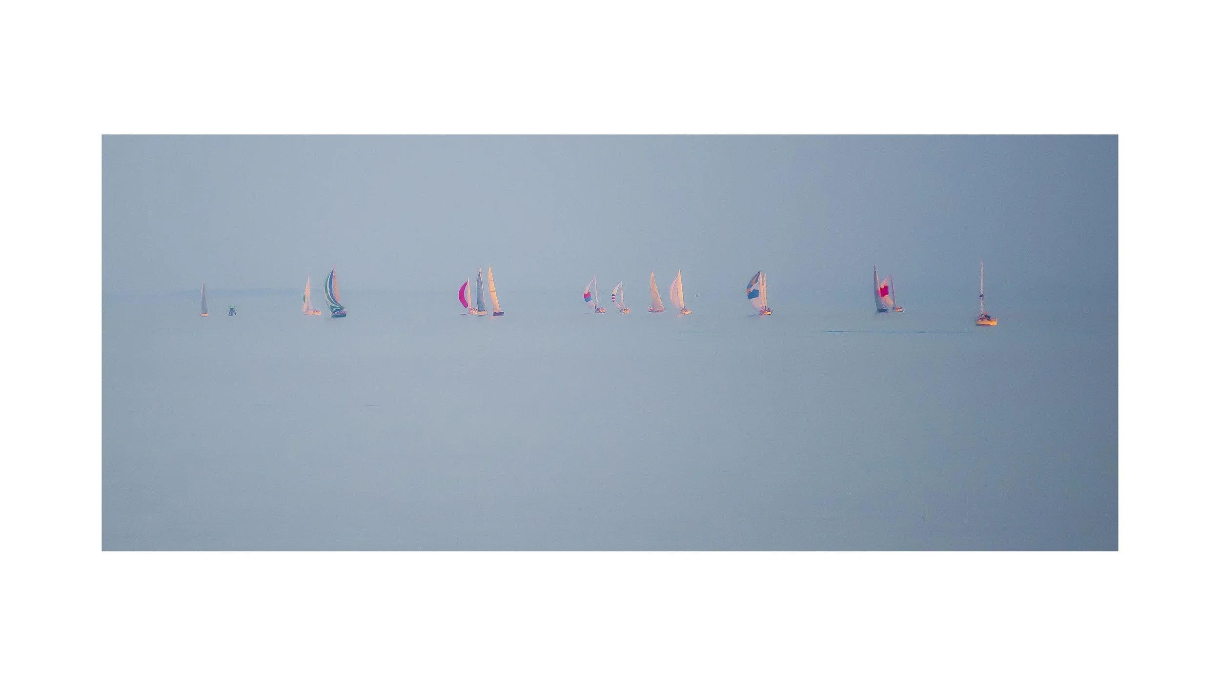 Sailboats on the Chesapeake