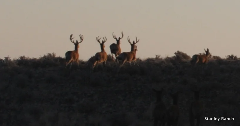 DSC_2335.JPG