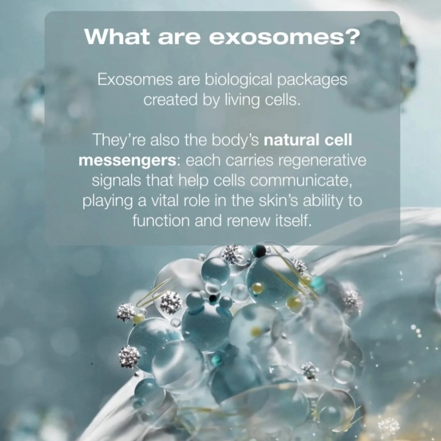 You've probably heard us get so excited about exosomes, but you may still be unsure as to why!
We think exosomes are the best thing in the skincare industry since retinol became more widespread...

And here's why.... ☝🏻

And this is why we are SO EX