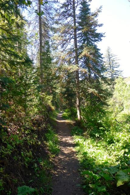 pinebrook-trails.jpeg