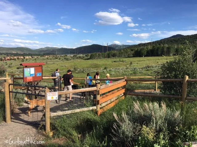 Park City the Dog City