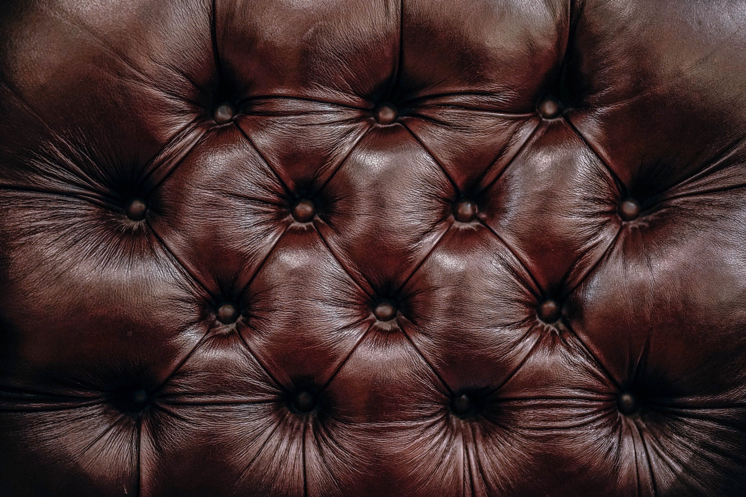 fancycrave-254175-unsplash (1).jpg