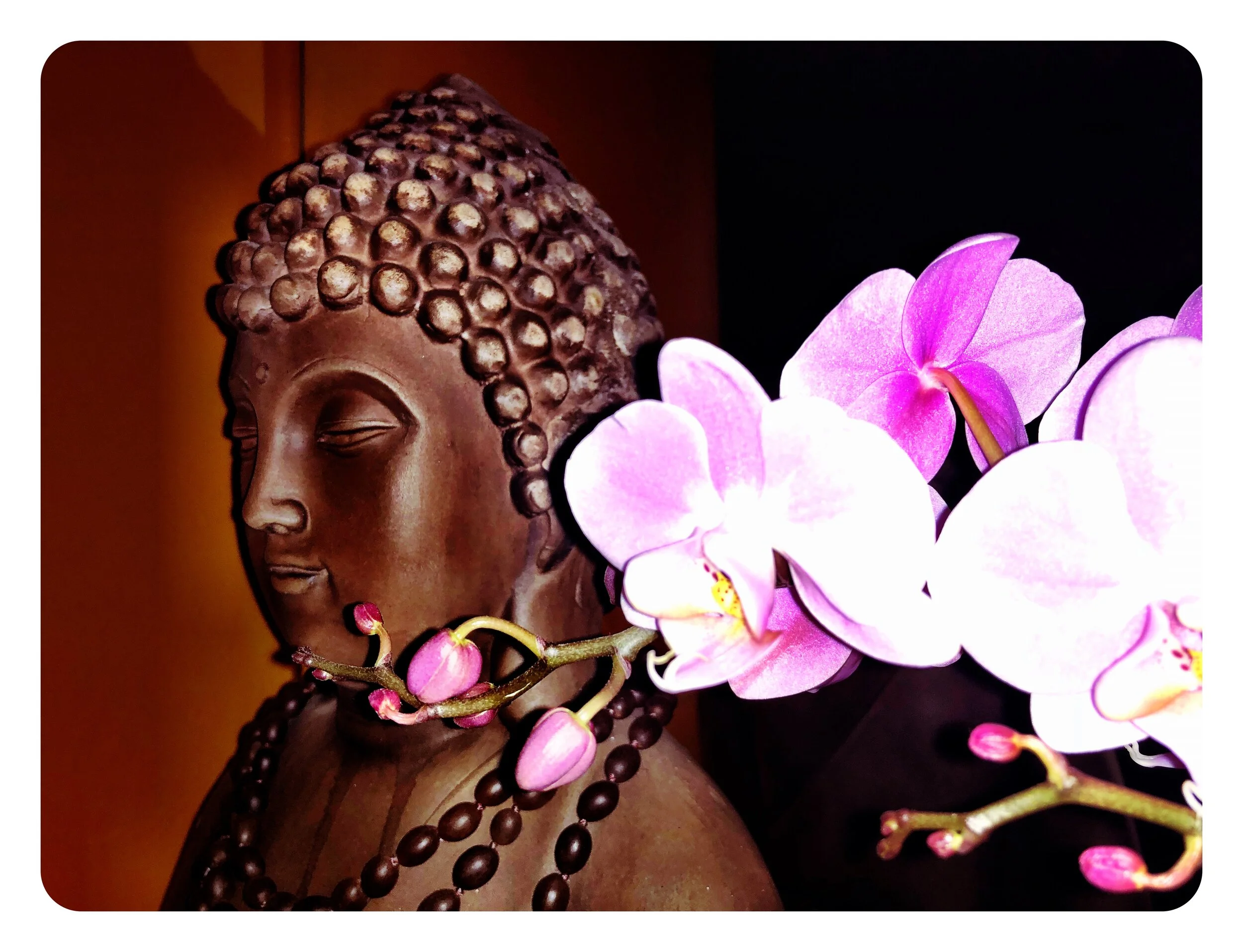 The Alchemy of Self: Depth Hypnosis and the Path to Inner Liberation. A Fusion of Buddhist Psychology, Hypnotherapy, and Shamanic Healing