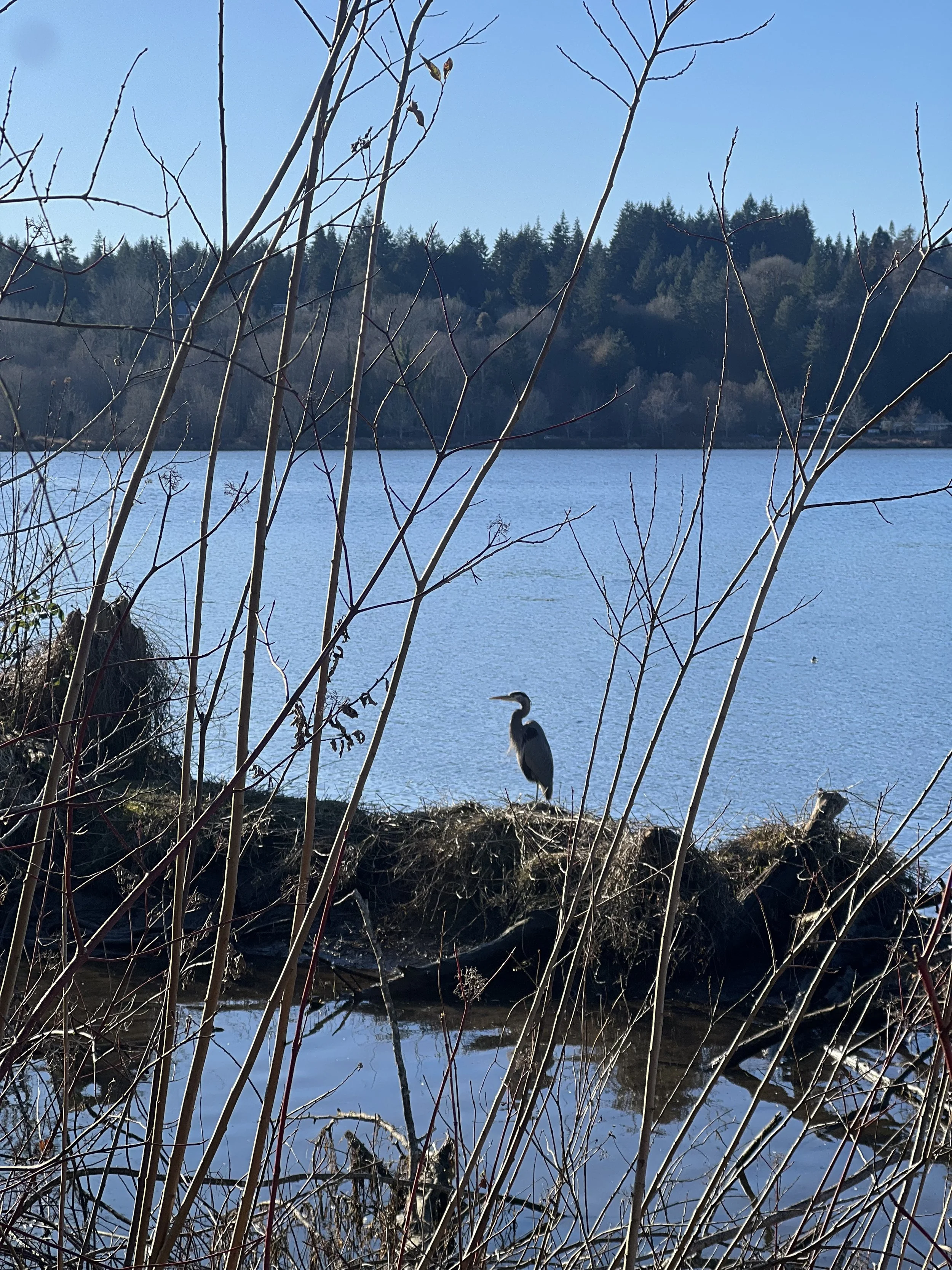 The Sanctuary of Silence