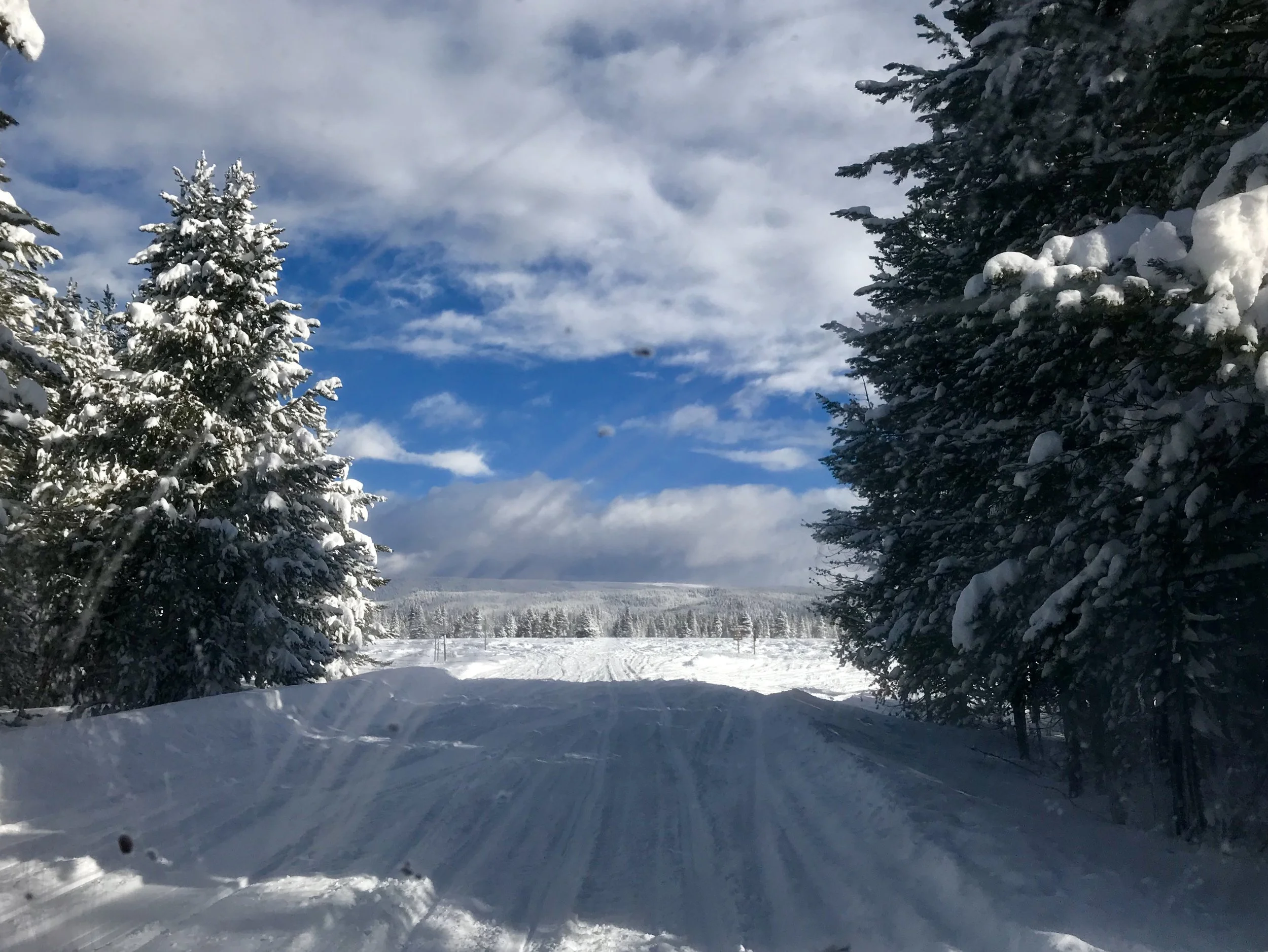 An imagination and time is all you need. Photo: teara galbraith