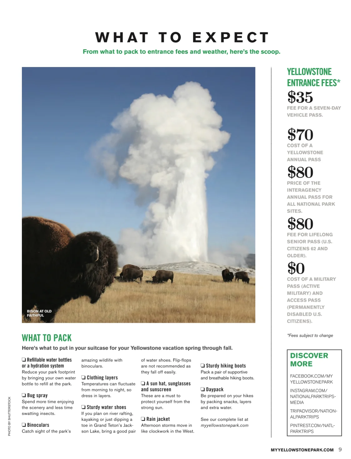 Yellowstone National Park ~ What to expect