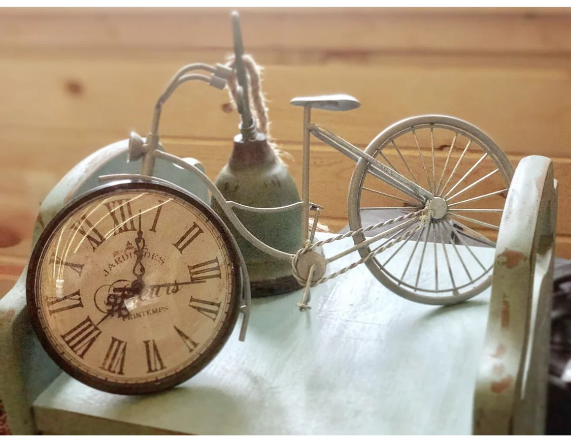 Bike riding in Island Park