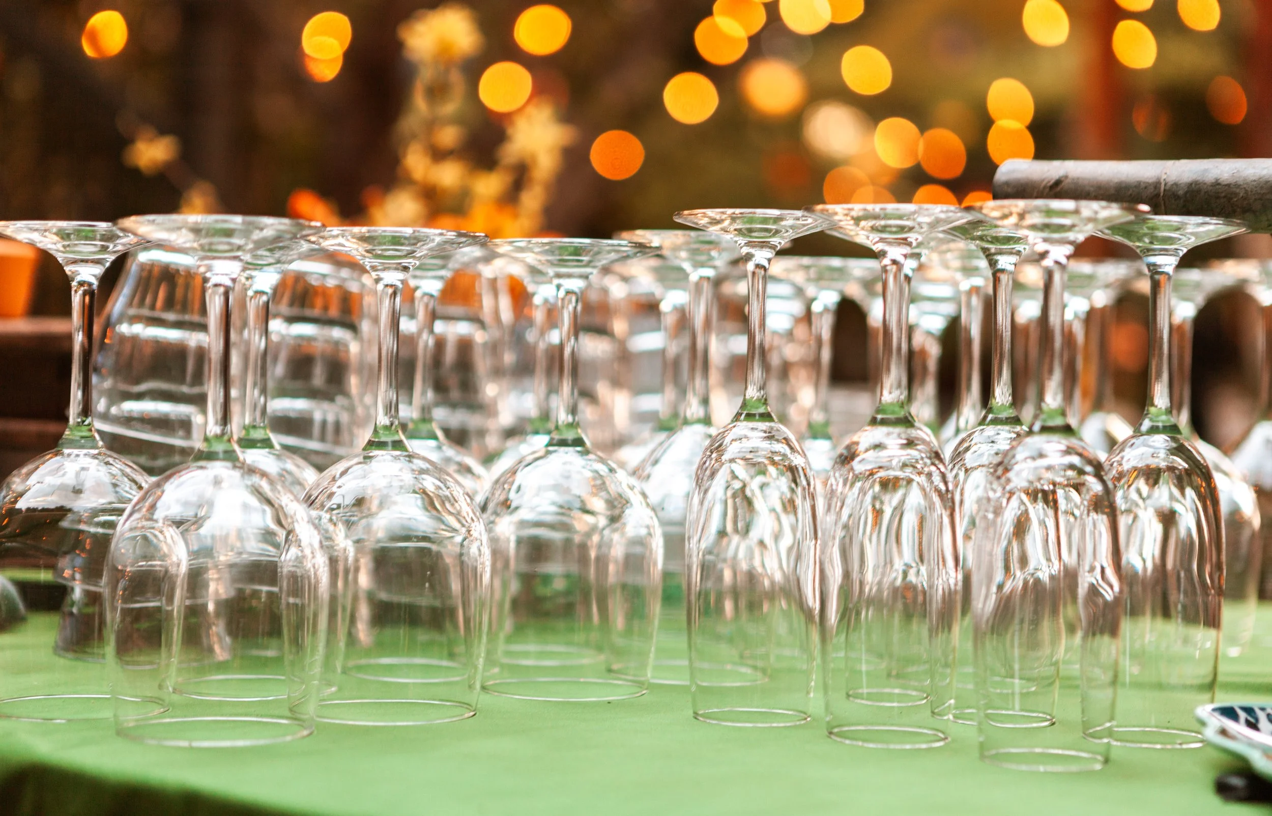 04-09-26 garden party fundraiser-1.jpg