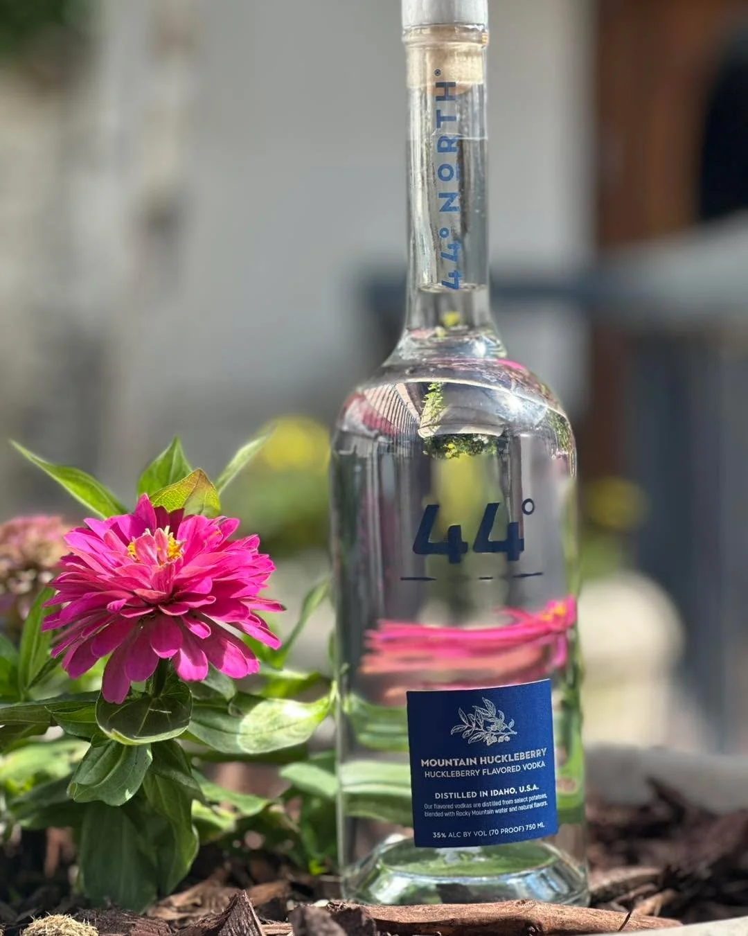 Bold flavor meets wild beauty 🌸 44° North Mountain Huckleberry Vodka—crafted in Idaho, inspired by nature, and ready to elevate your next pour.
#HuckleberryVodka #CraftedInIdaho #SipInBloom