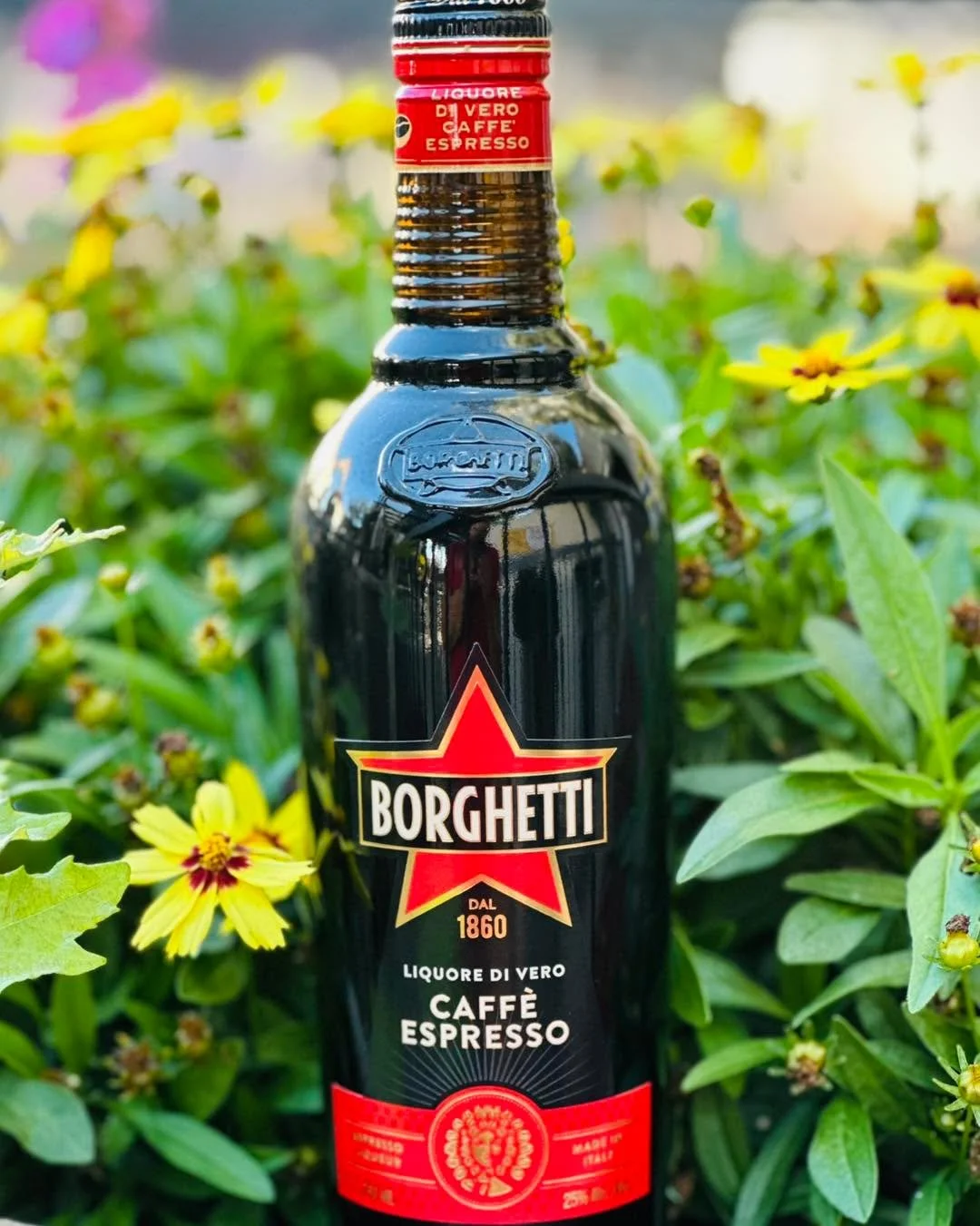 Bold, bittersweet, and steeped in tradition—Borghetti Caffè Espresso liqueur brings the soul of Italian espresso to every sip. Perfect for after-dinner indulgence or a twist on your favorite cocktail.
#EspressoElegance #ItalianLiqueur #
