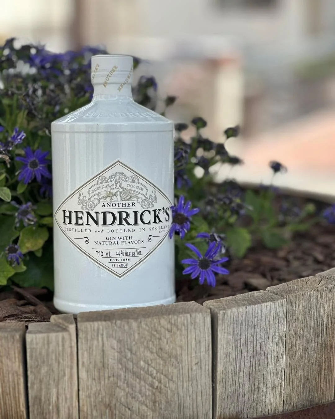 Hendrick&rsquo;s Orange Blossom &amp; Cacao understood the assignment. If your gin isn&rsquo;t serving looks like this, don&rsquo;t tag me. 😌✨
#HendricksGin #OrangeBlossomCacao #ShareWorthy
