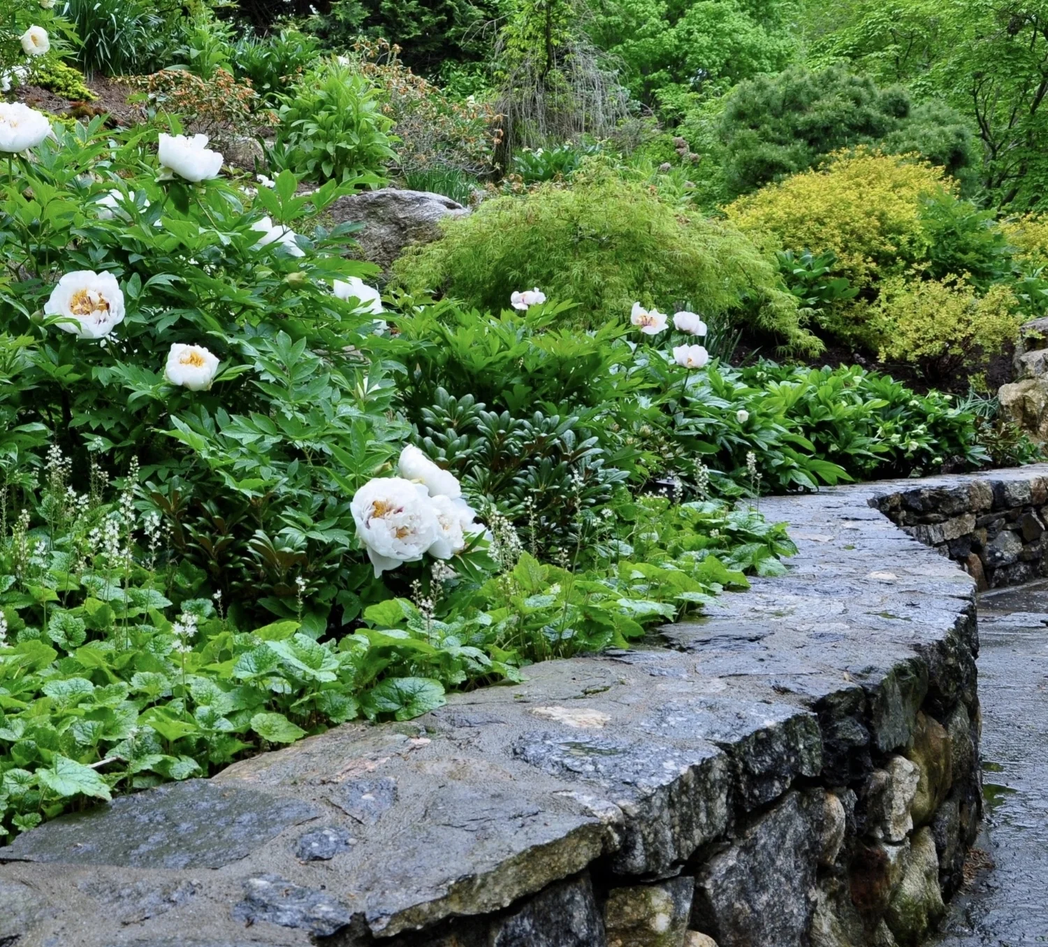 Greek Revival Garden Design-Stone Wall