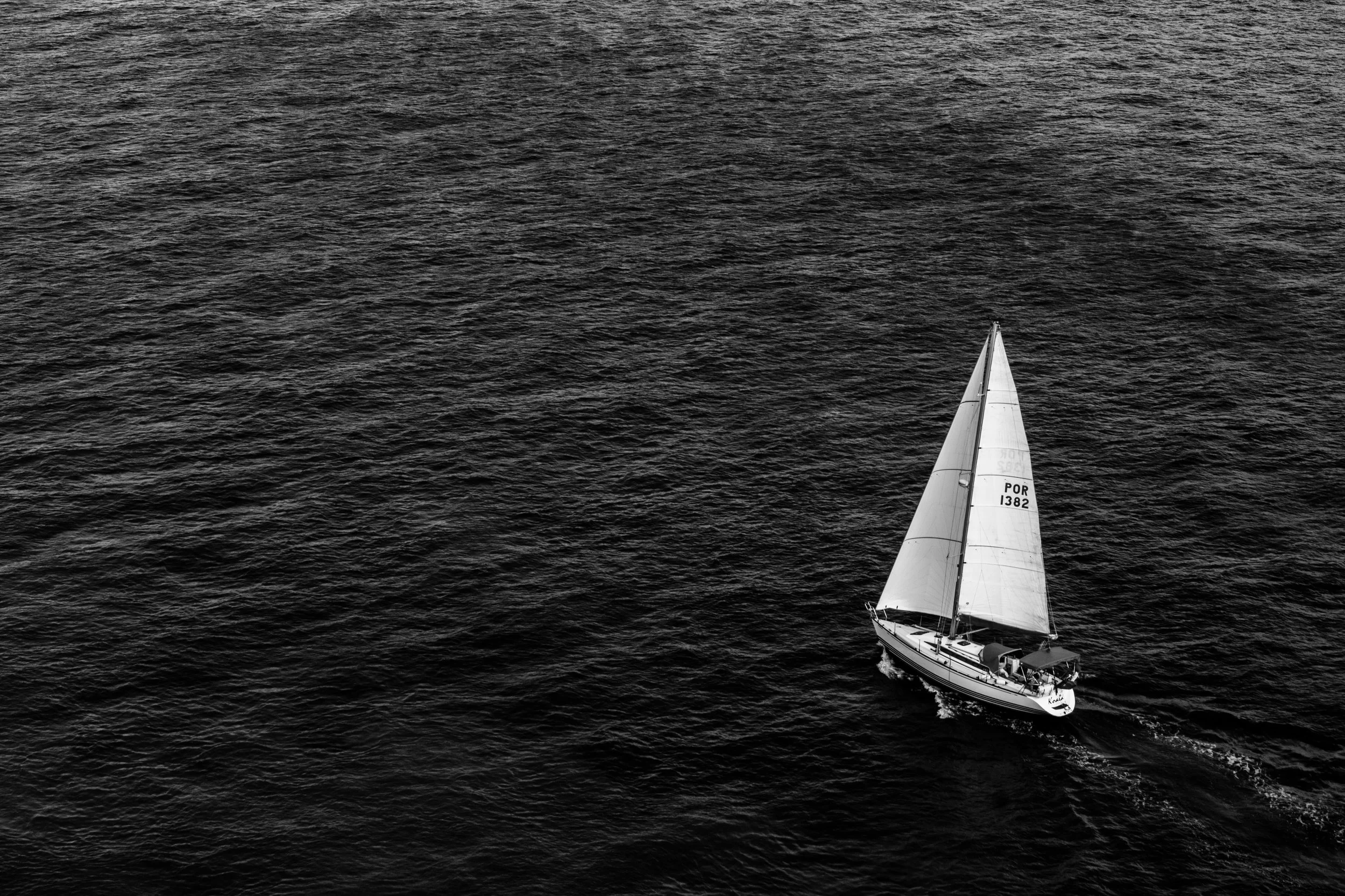 sensei-minimal-429449-unsplash.jpg