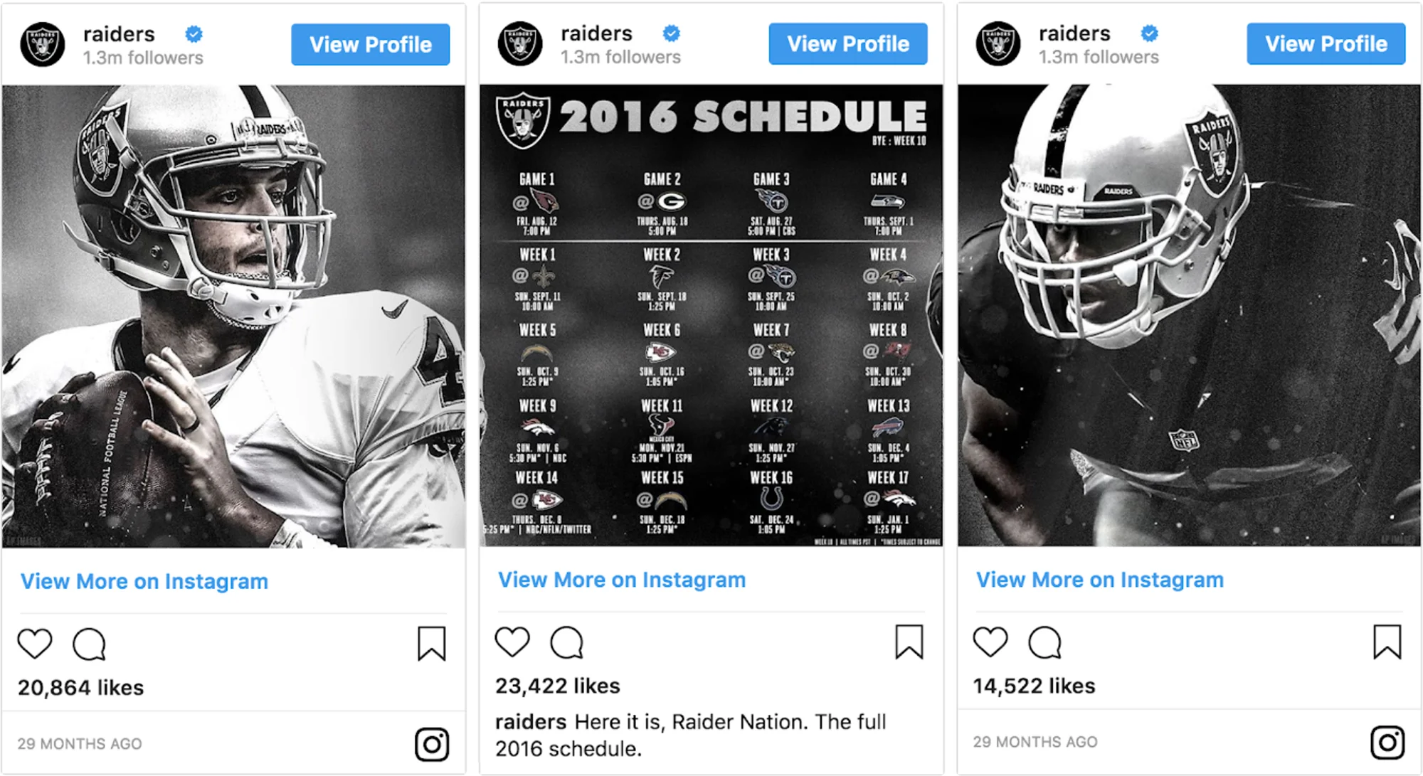 Raiders_Insta-01.jpg