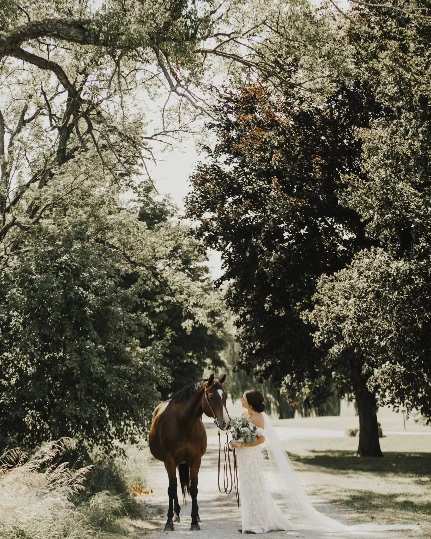 Thinking about including your furry family members on your wedding day?

My answer is always YES. 🐎🦓🦒🦔🐕🐈

I&rsquo;m a huge animal lover, and there&rsquo;s just something incredibly special about having your beloved pets by your side as you say 