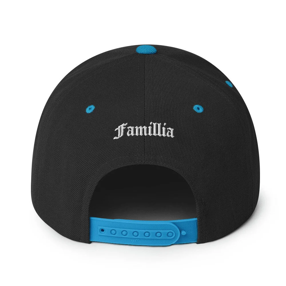 classic-snapback-black-teal-back-6082e11e46183.jpg