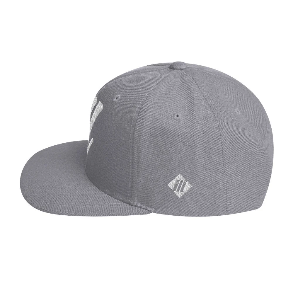 classic-snapback-silver-left-side-693f4943c25b9.jpg