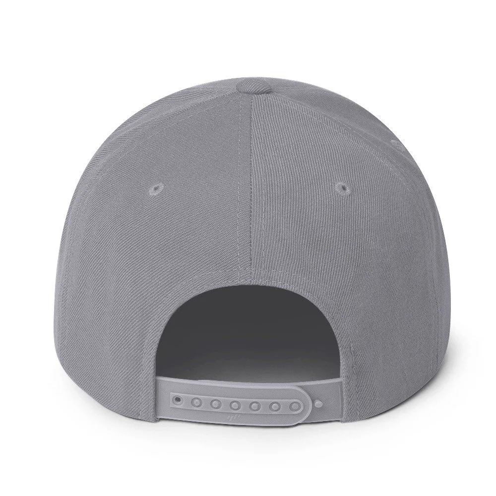 classic-snapback-silver-back-693f4ac32e3a9.jpg