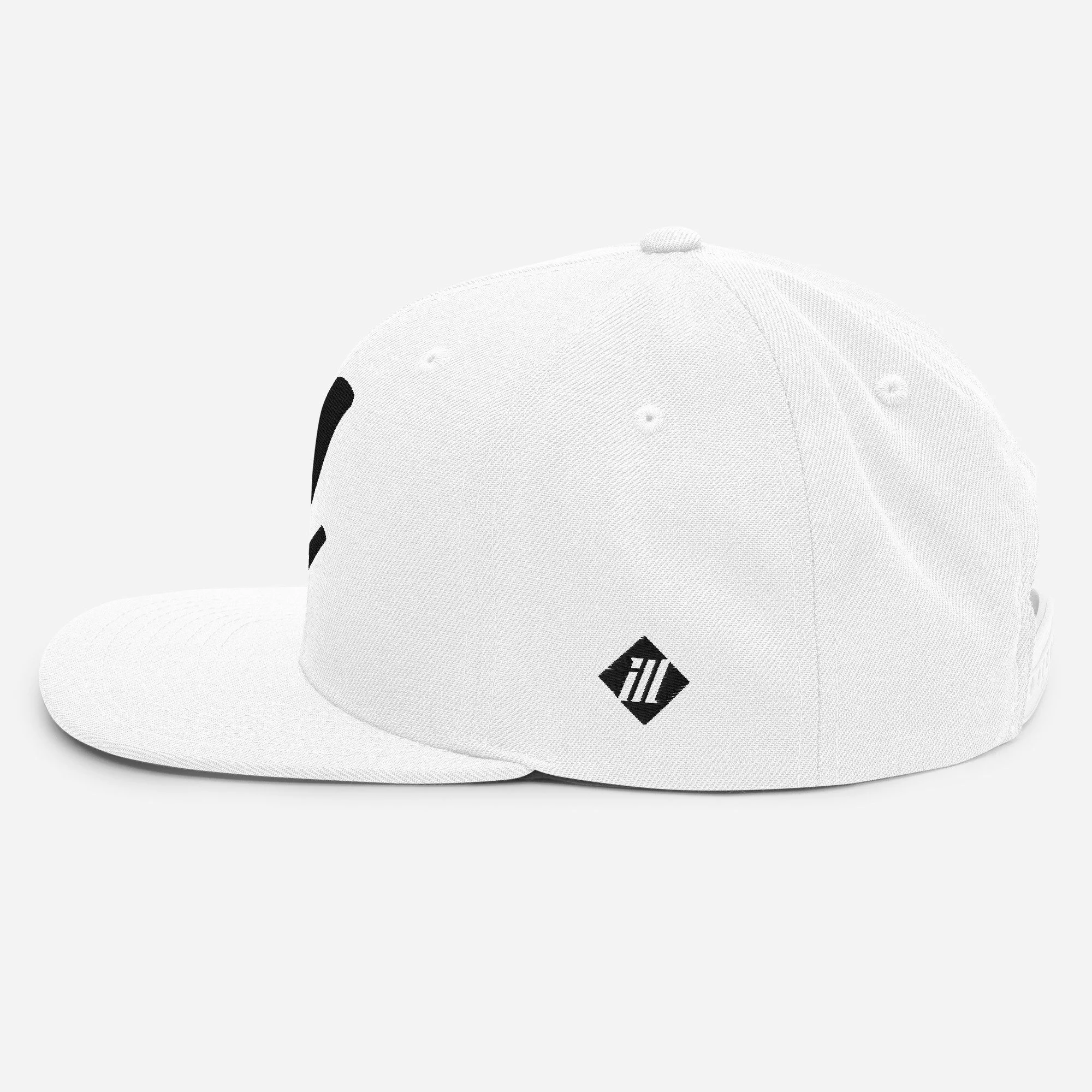 classic-snapback-white-left-side-693f4ac330744.jpg