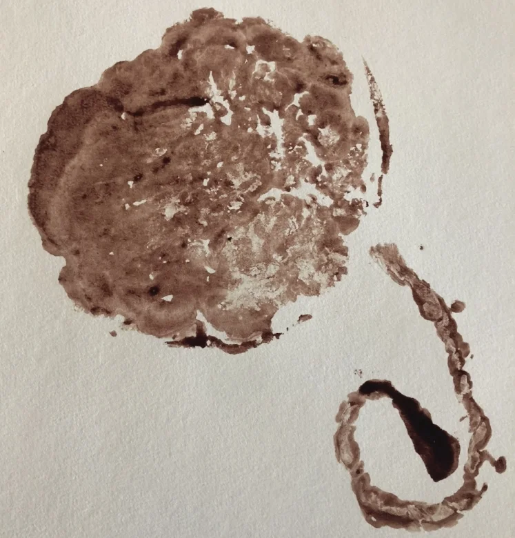 We make placenta prints - a unique and beautiful birth keepsake. Email us to inquire.
