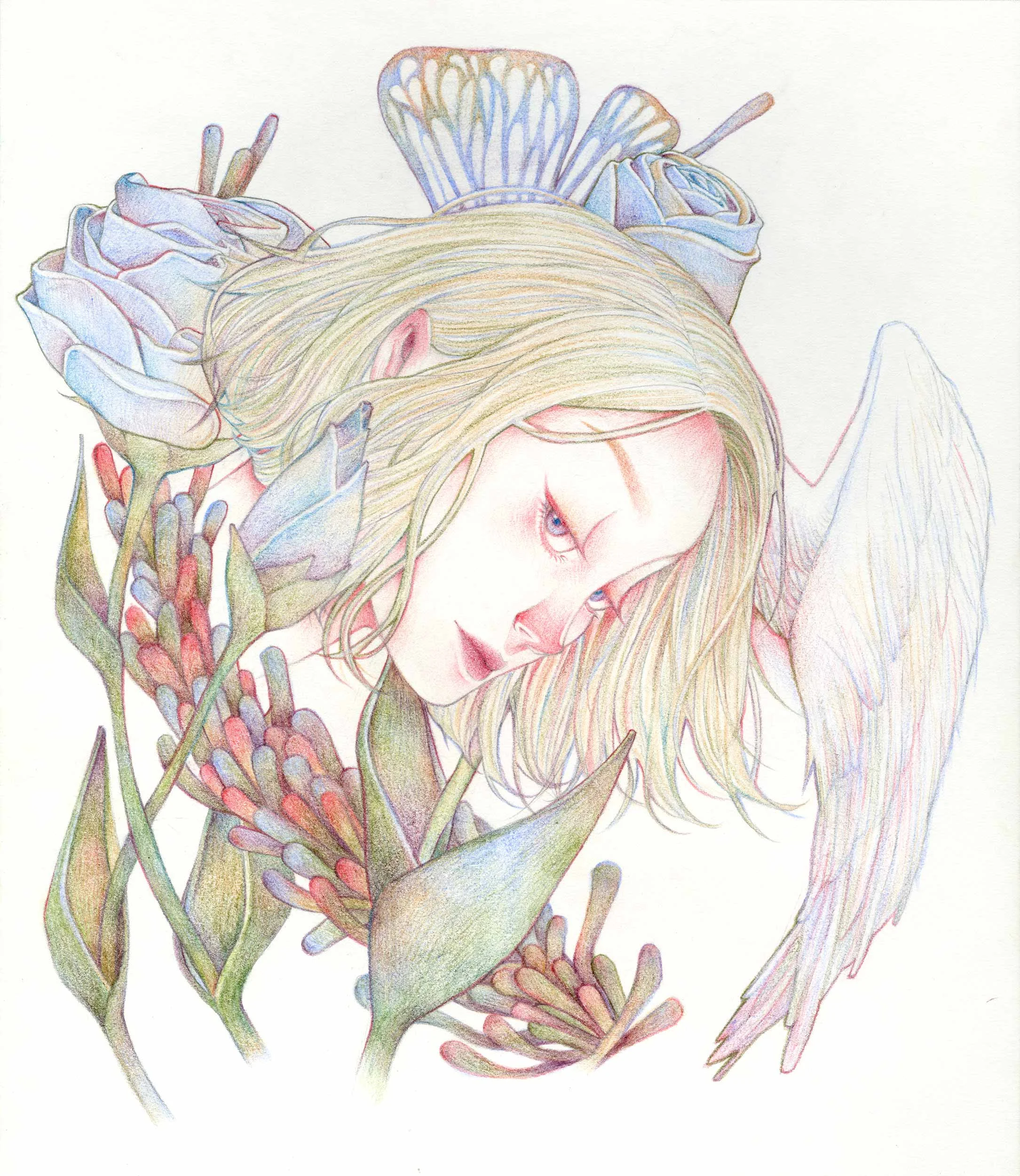 In a Dream