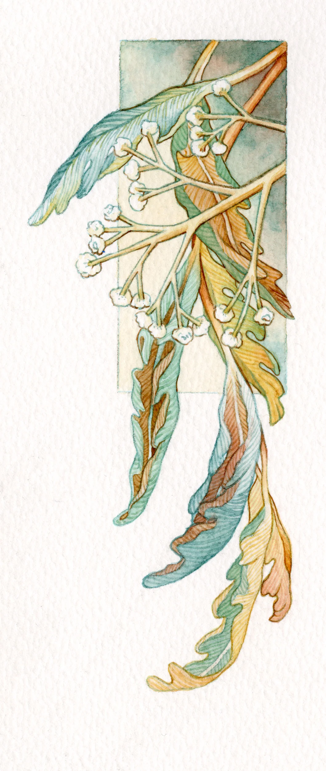 floral002_crop01.jpg