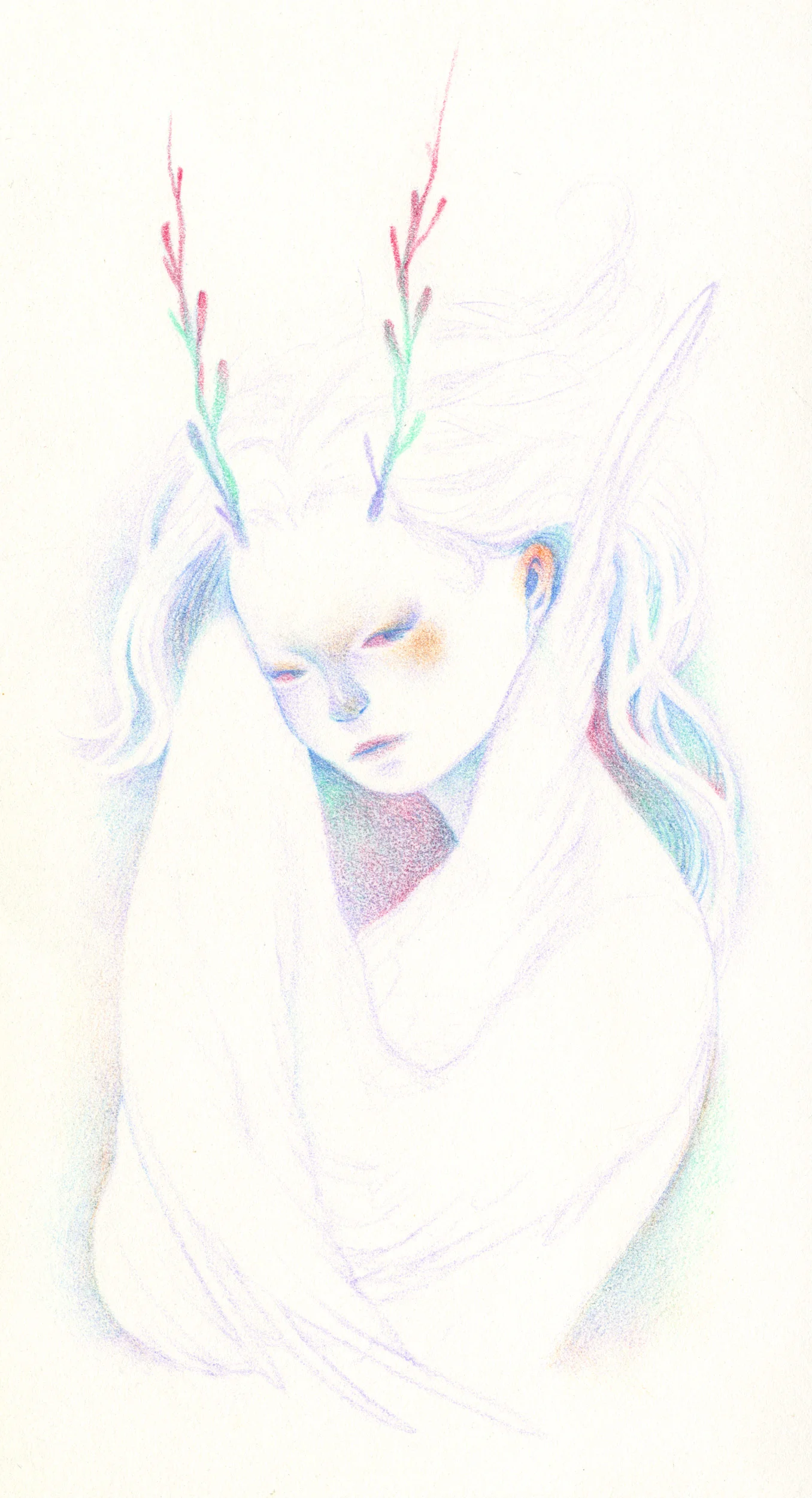 scan001.jpg