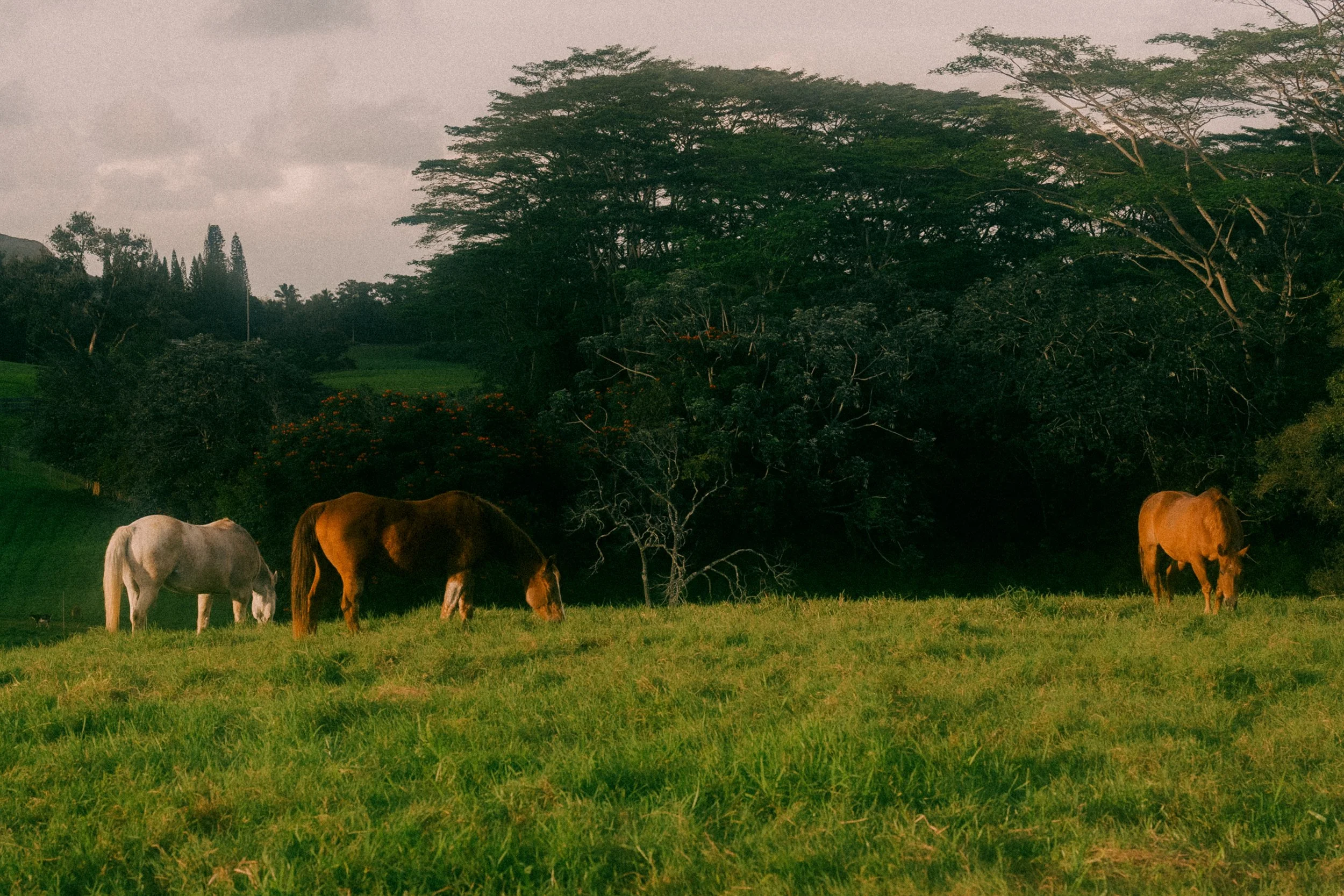 DSC09000.jpg