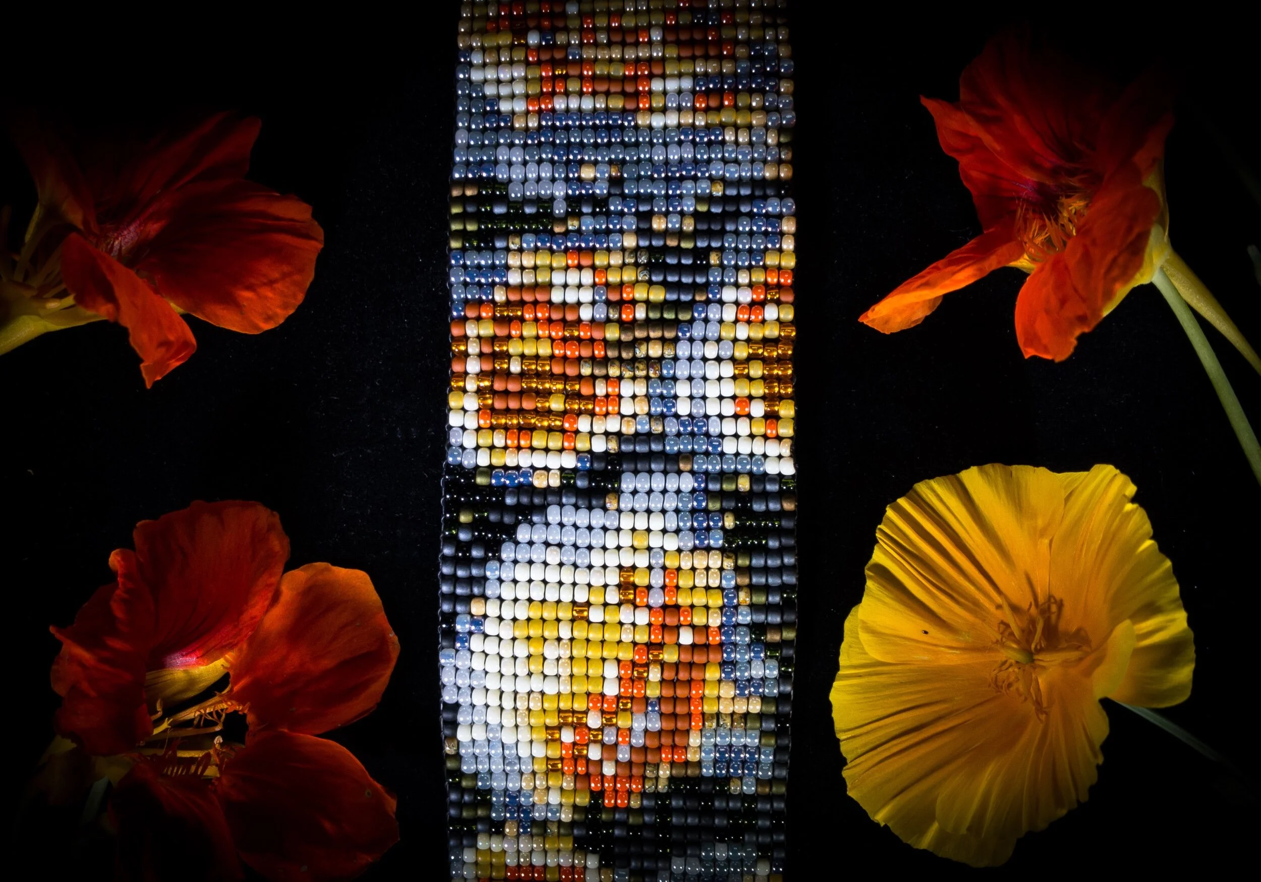 0A04A62E-7606-452F-B621-1E75A2050DC1