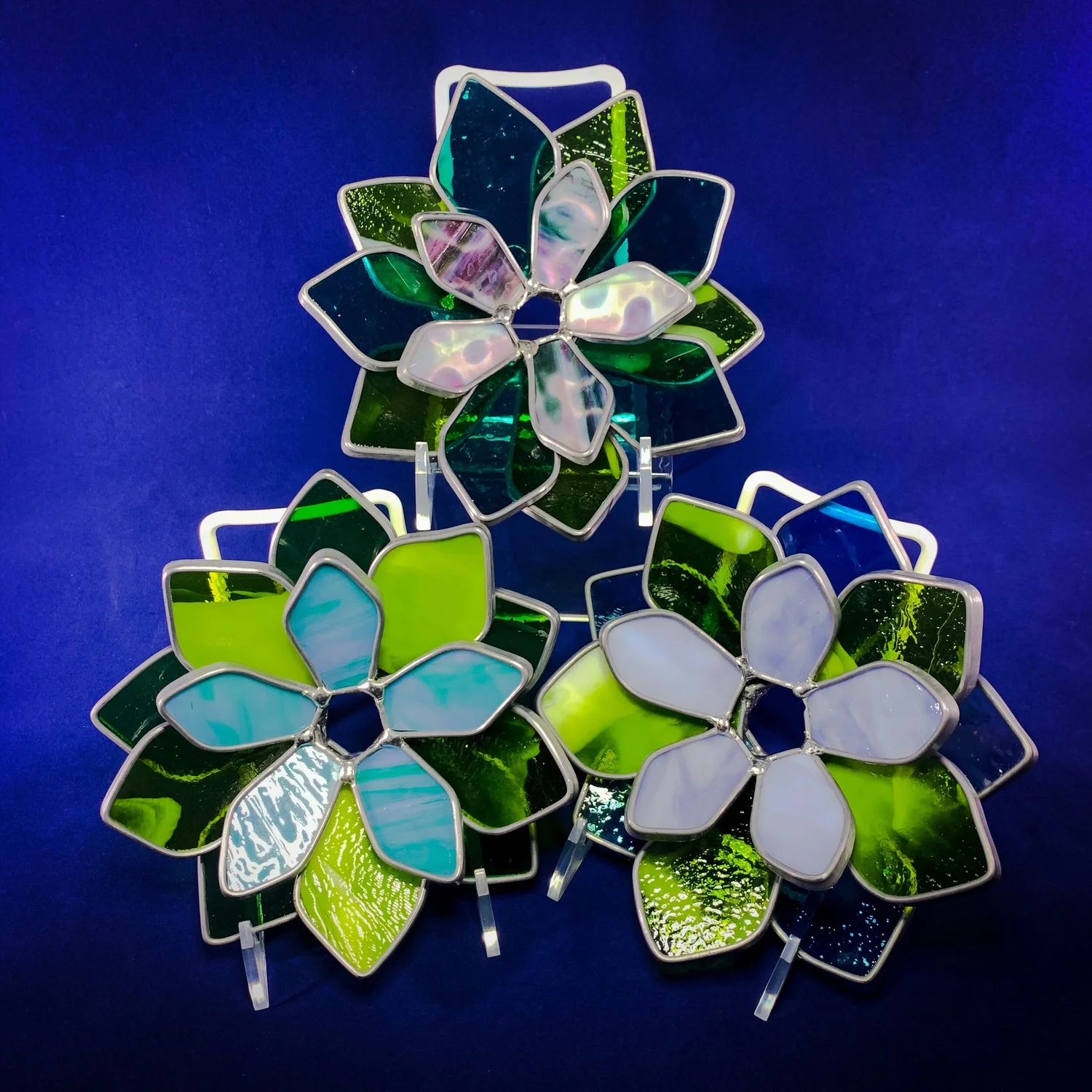 Stained Glass Succulent  The Magic Corner