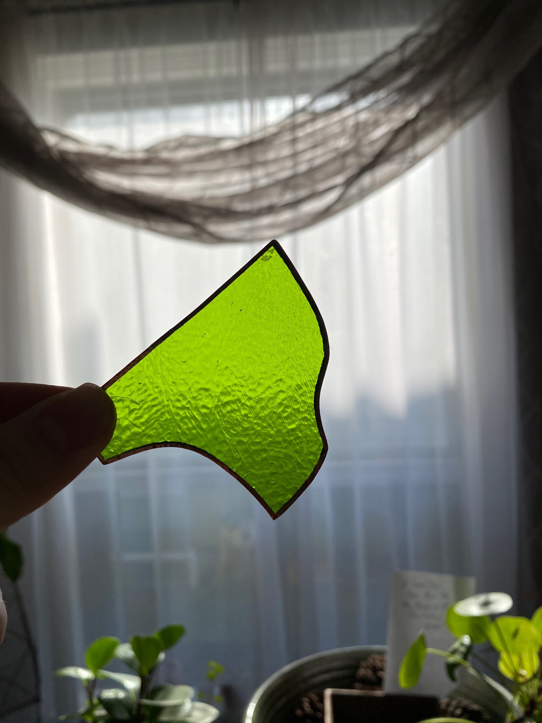 1CE9AA72-65D3-43CC-A033-891798DD423B