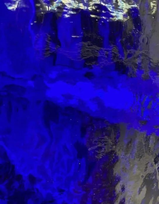 1E6304FF-6328-4435-A585-92D2DBE65B37