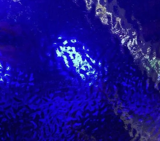 058A9210-0C76-472C-B104-010A5F2FC429