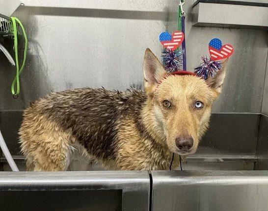 A Soggy Fourth of July